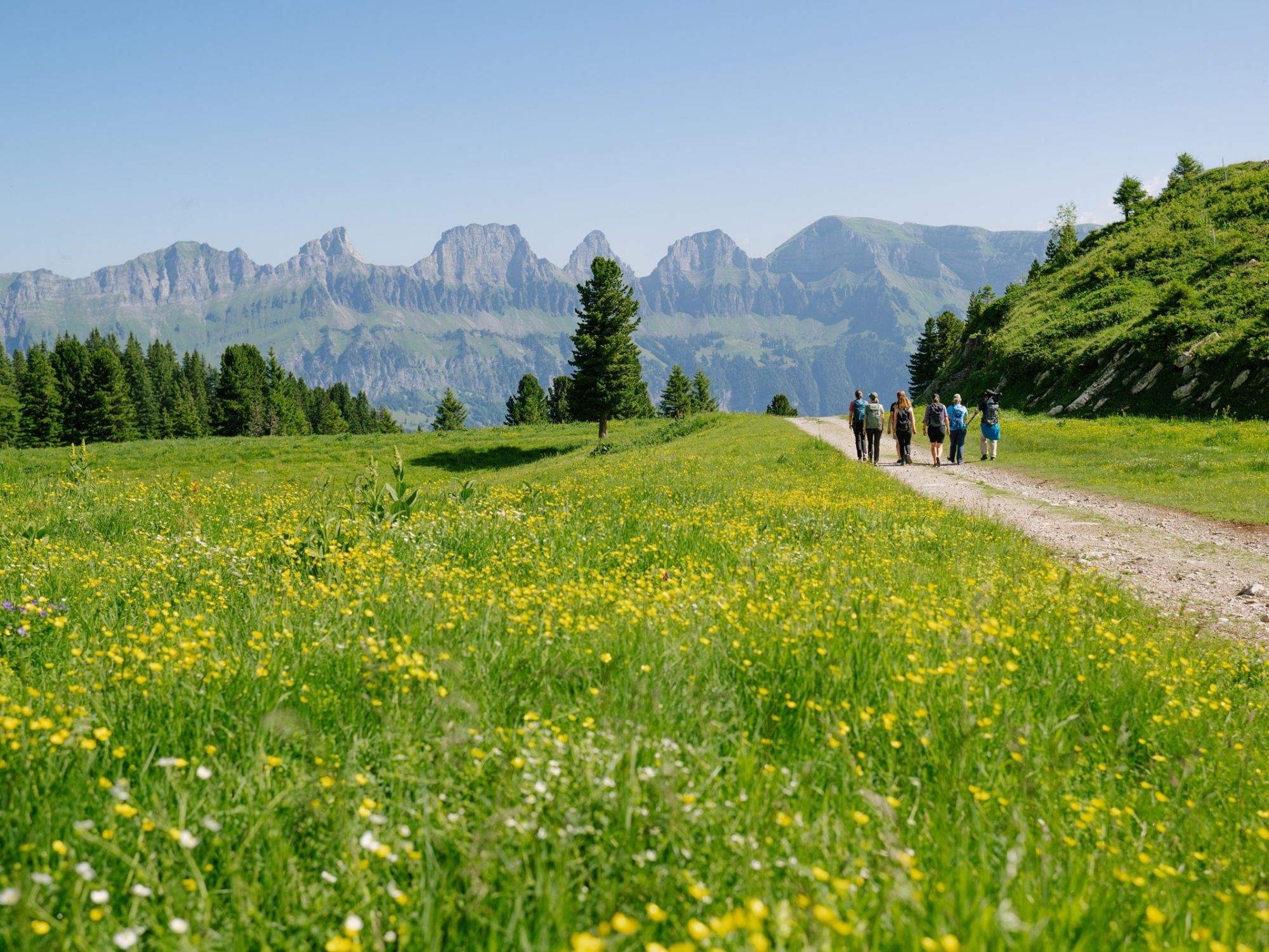 Κωδικός 08 KWI5889