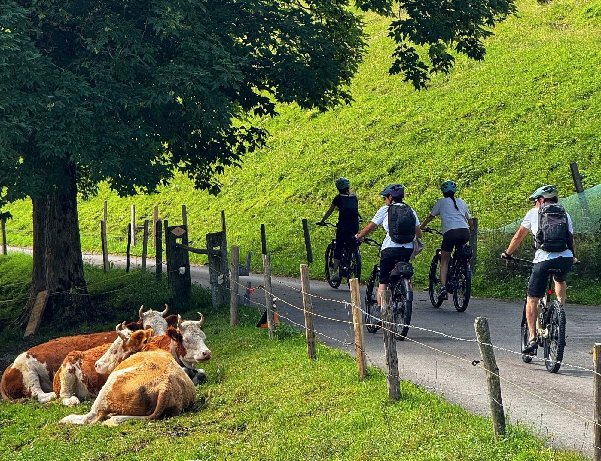 griesalp-unesco-kiental-ebike-tour-swiss-alps-cyclists