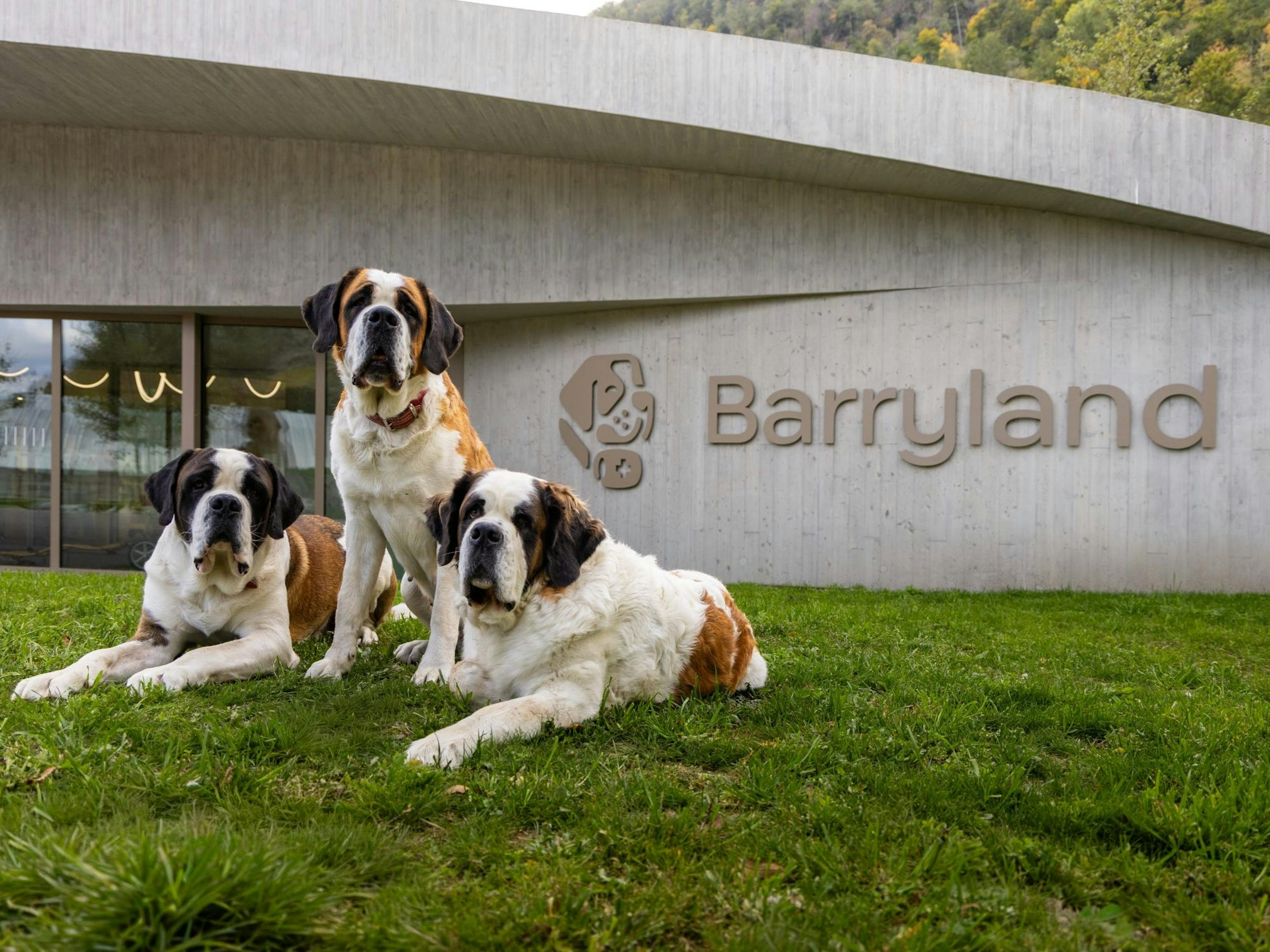 Barryland (c) Thomas Masotti