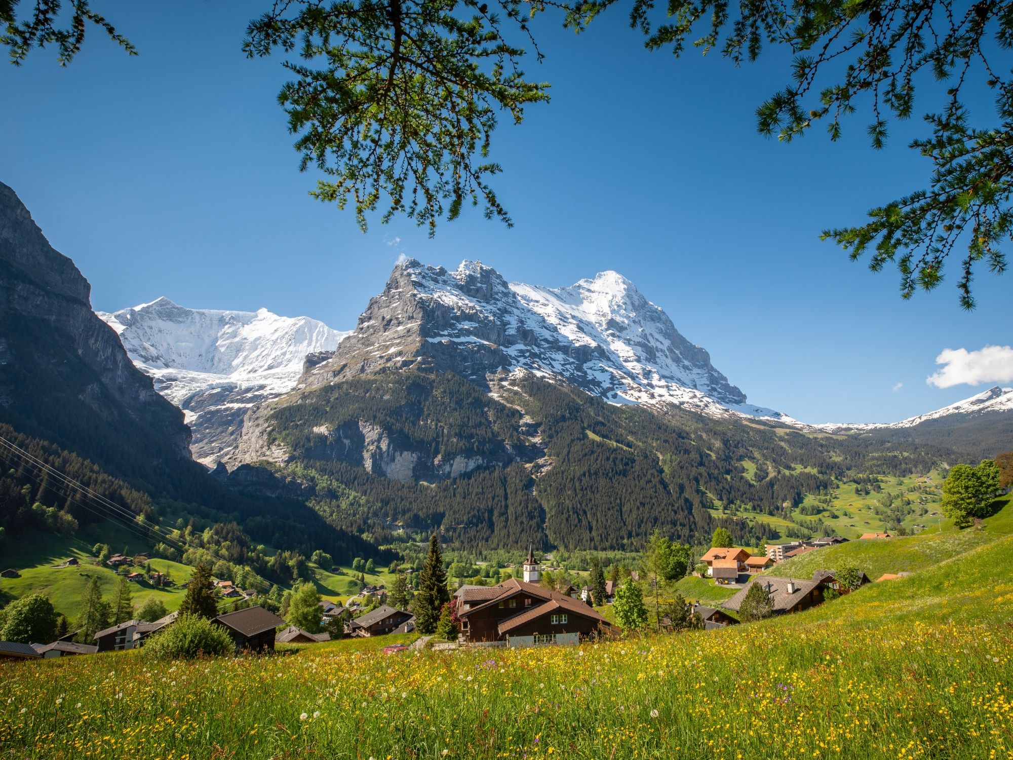 Grindelwald'da Bahar 2