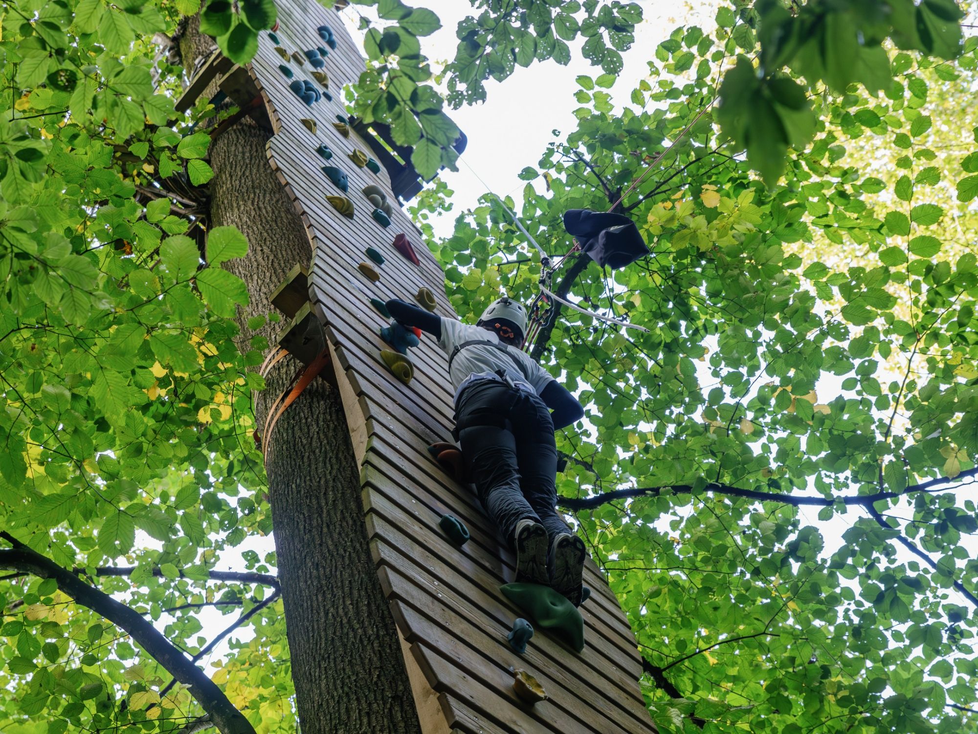 Klettern im Wald