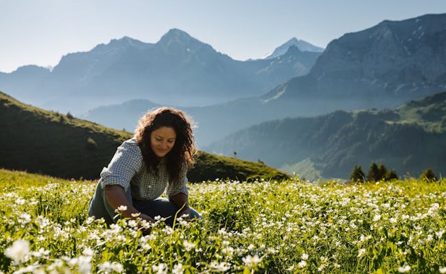 03 Caminho das Flores dos Alpes Teleféricos Adelboden-Lenk