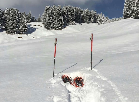 00 snemarch-safari-6 (1)