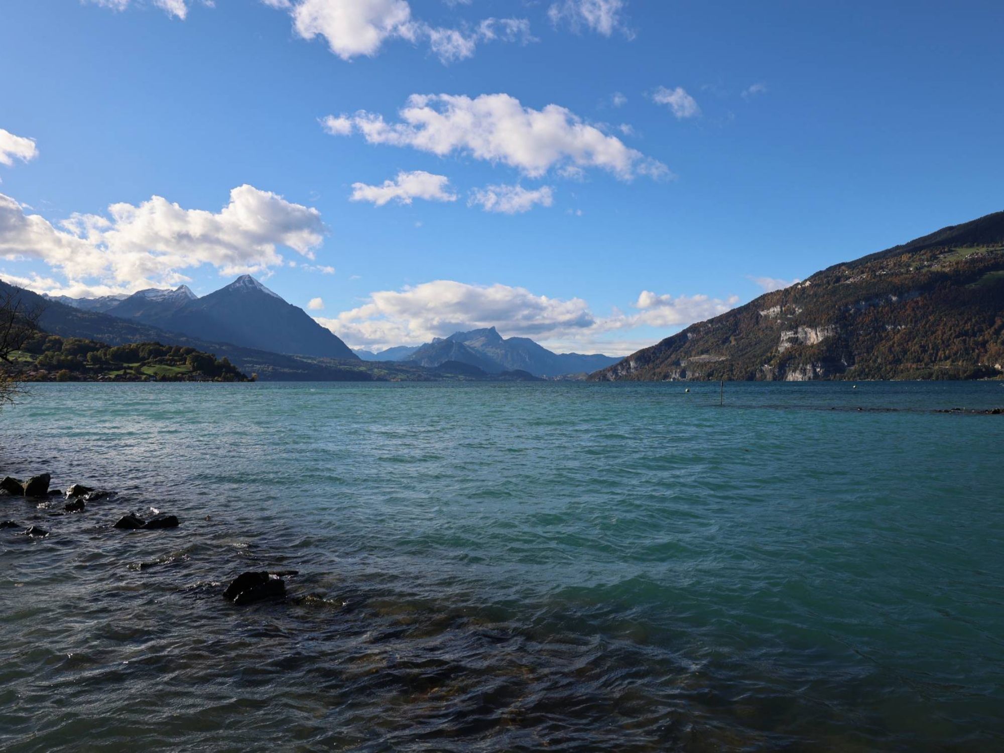 2000x2000-0-70-94ee88d63d1383ba5f8e62847f924b57