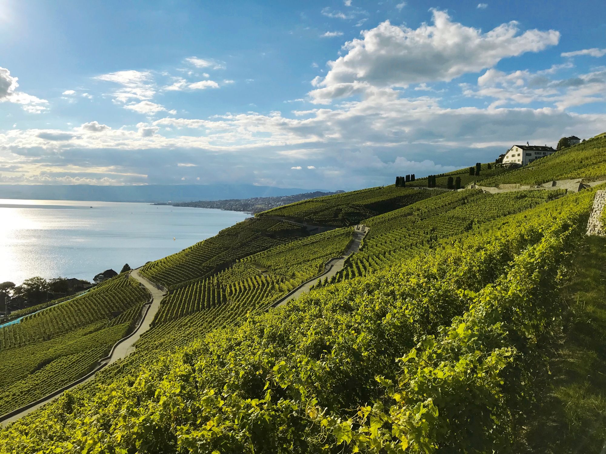 Pod Grandvaux©WALK&WINE