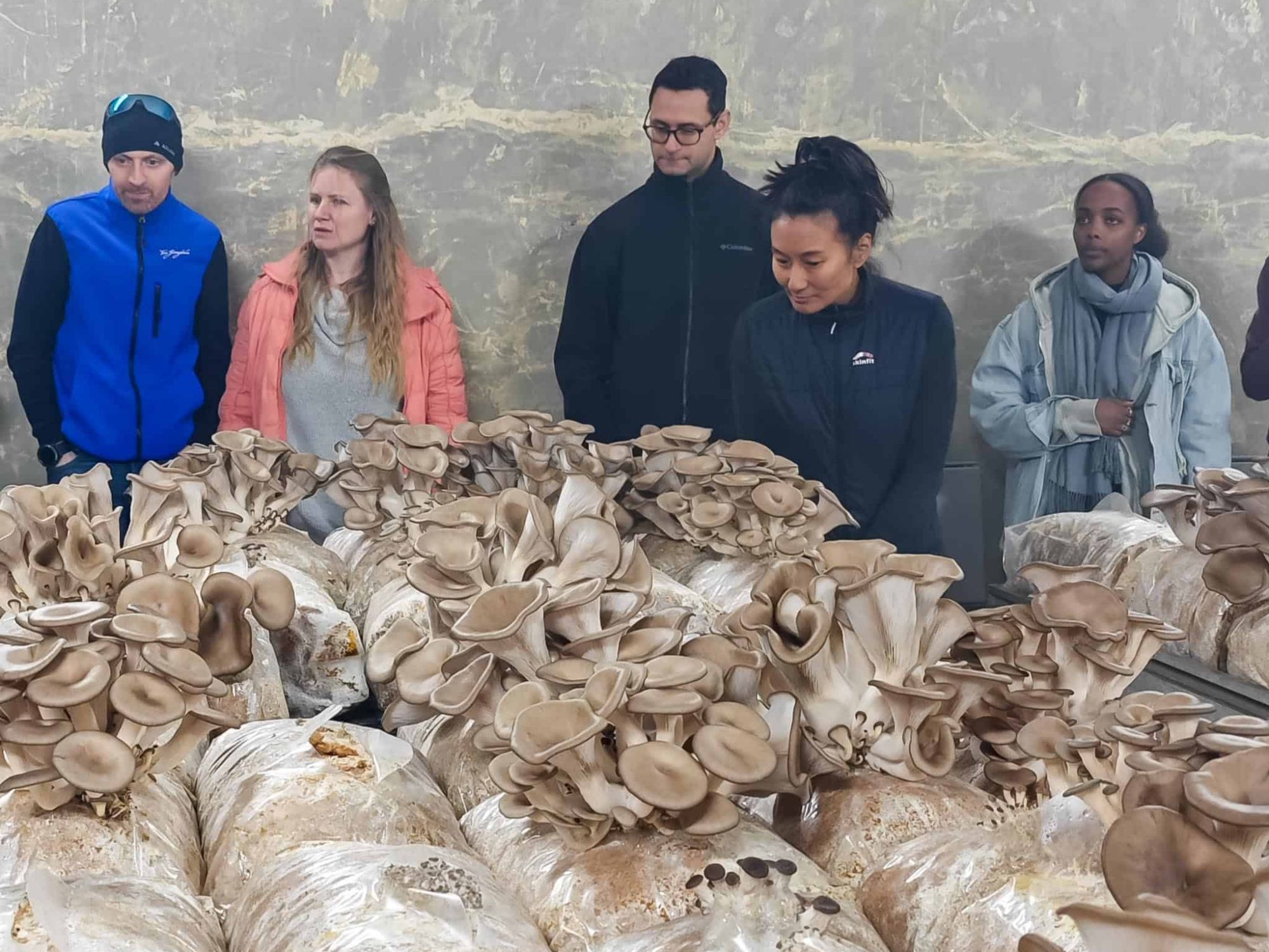 IMG-20250308-115012-1