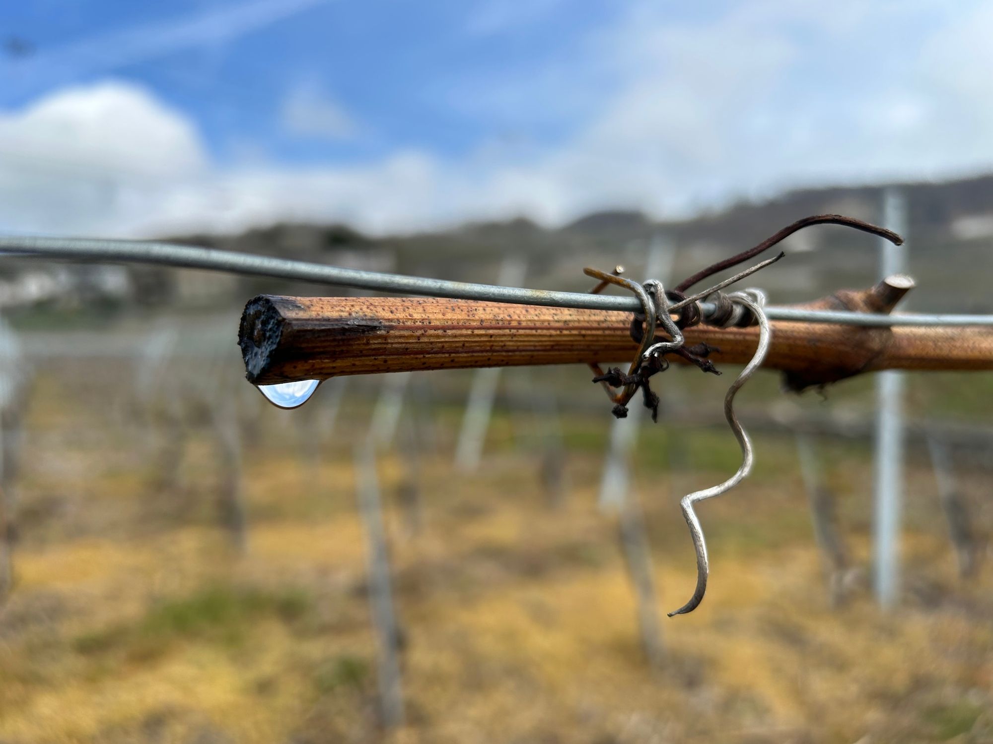 Réveze pláče©WALK&WINE