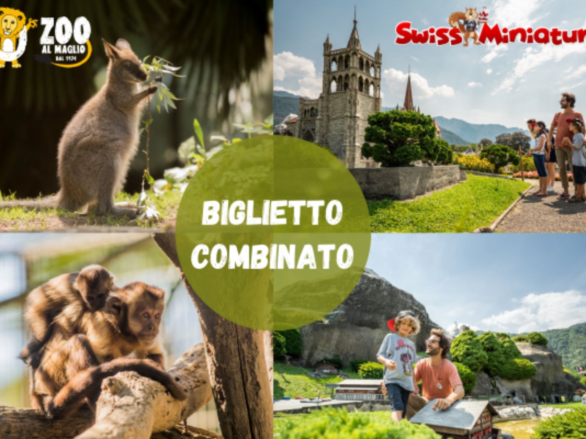 Bilhete combinado: entrada para o Zoo al Maglio e Swissminiatur