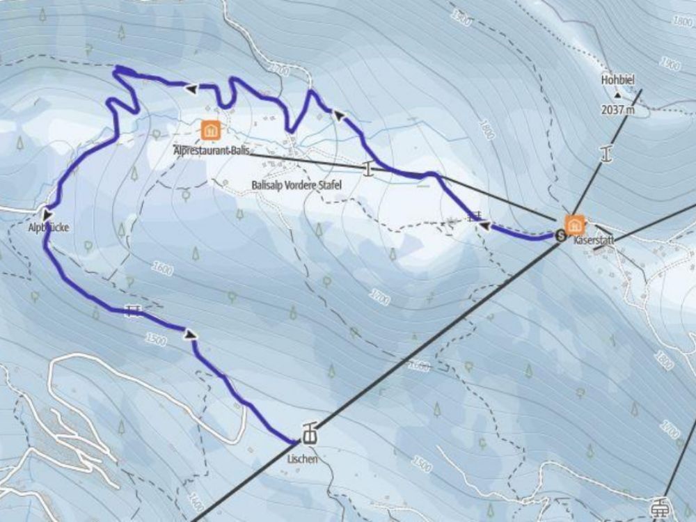 käserstatt-lischen-schlitteln