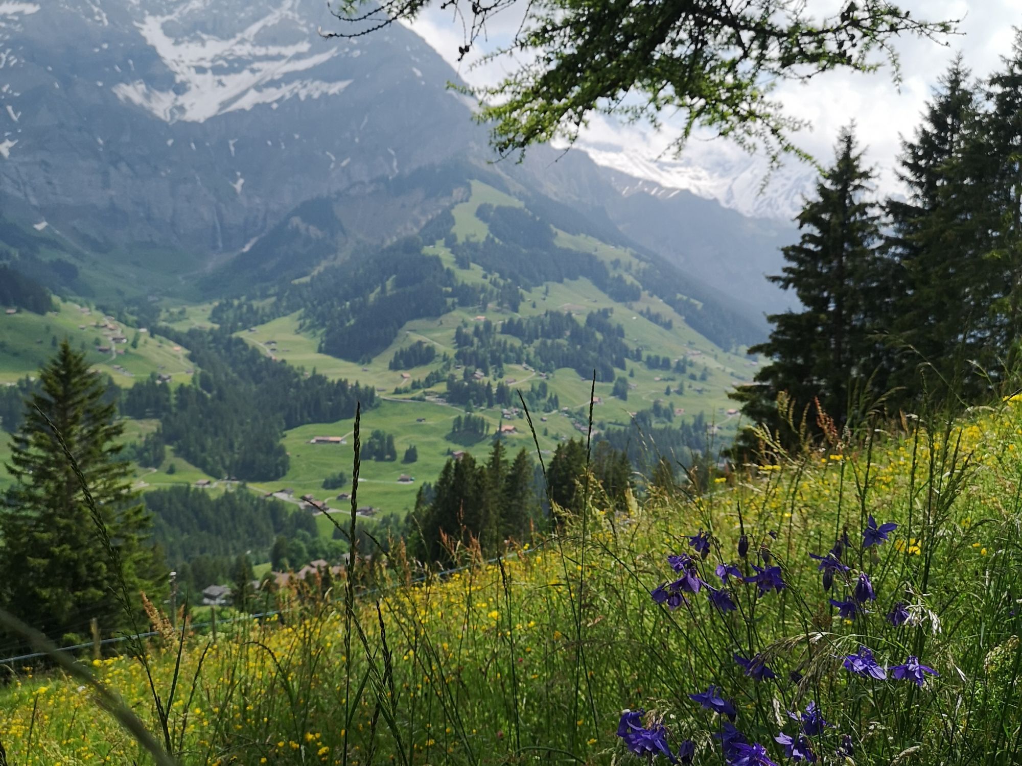 08 IMG_20250608_145656