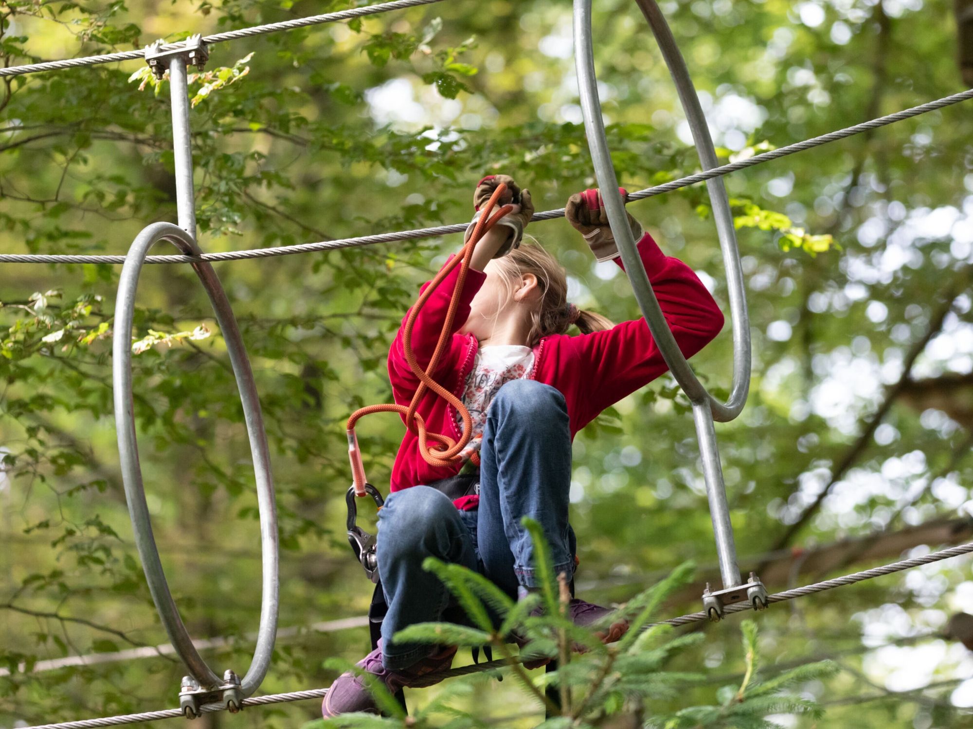 Billet Parc Aventure Zurich à Kloten