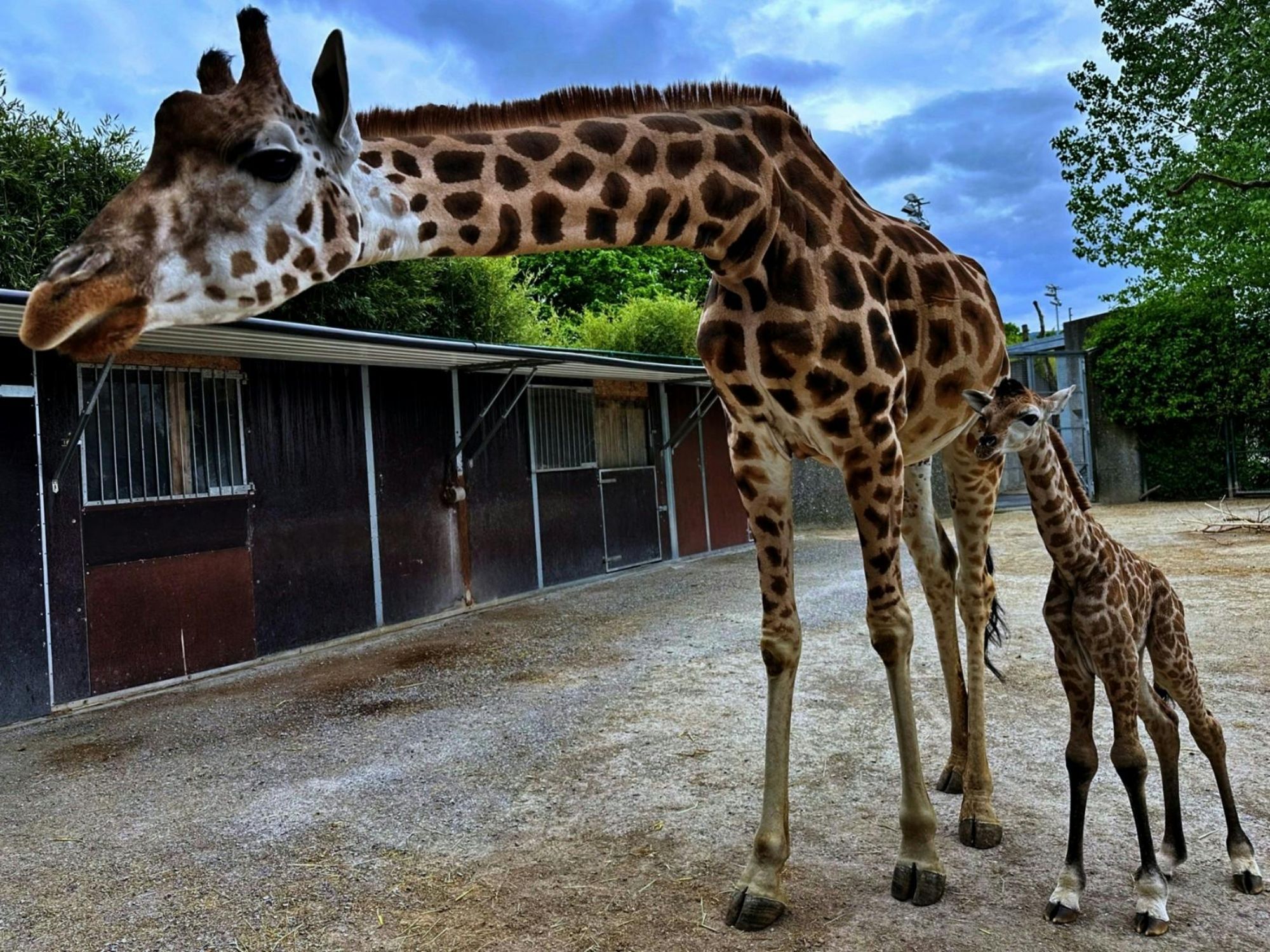 527c45bb6827452d9740a47b8bc48e04