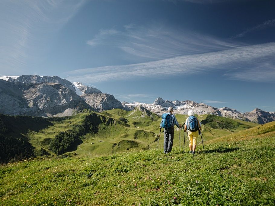 Alpenbloemenpad Adelboden (1)