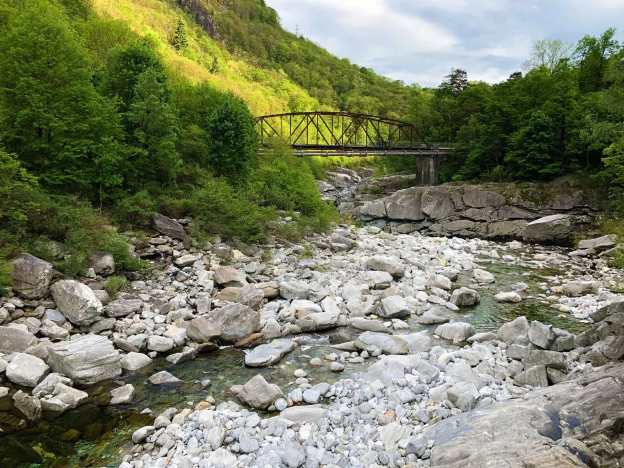 batch_maggia1 (1) копия