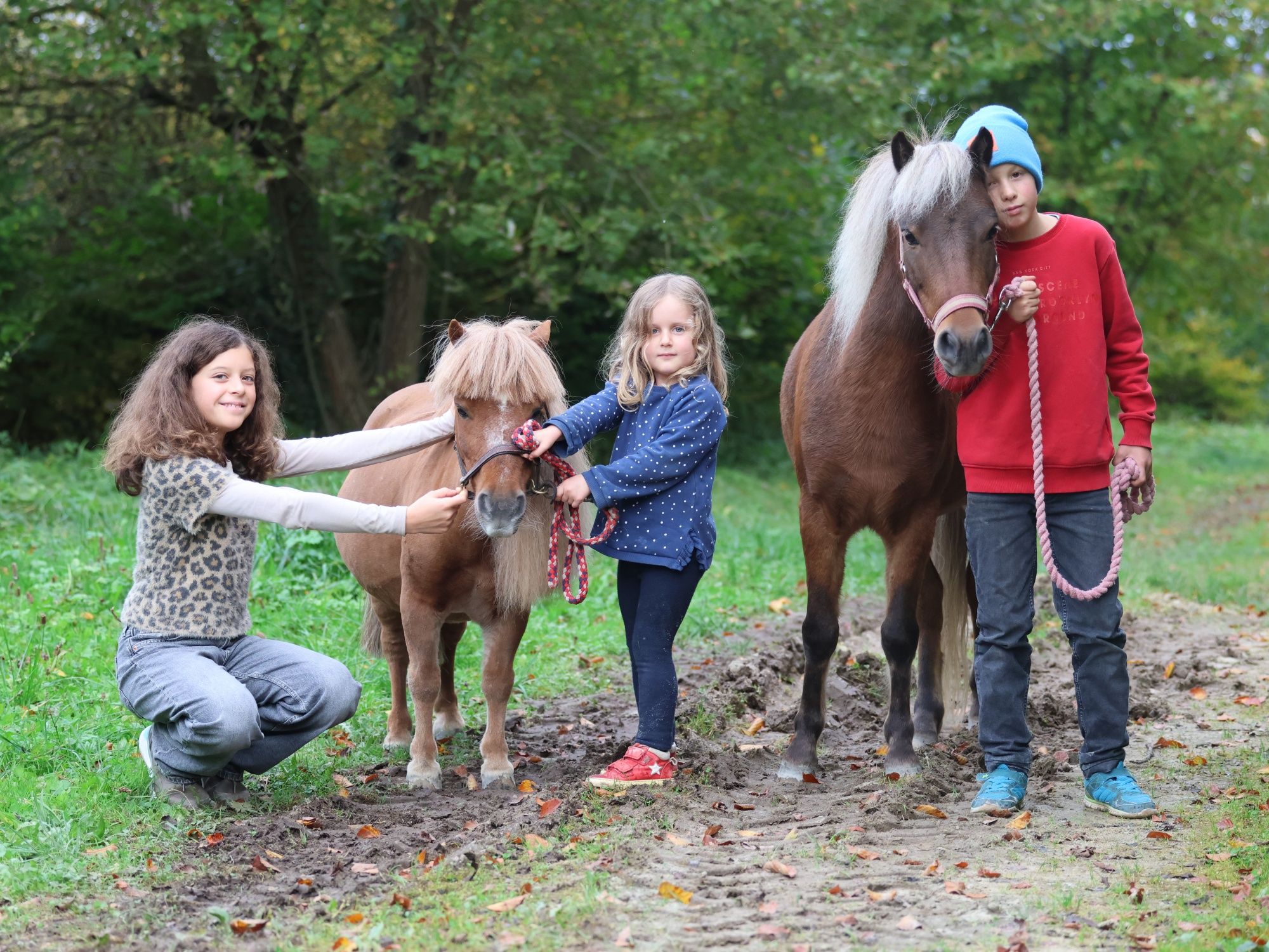 ชมรมม้าม้าในลอเซิน