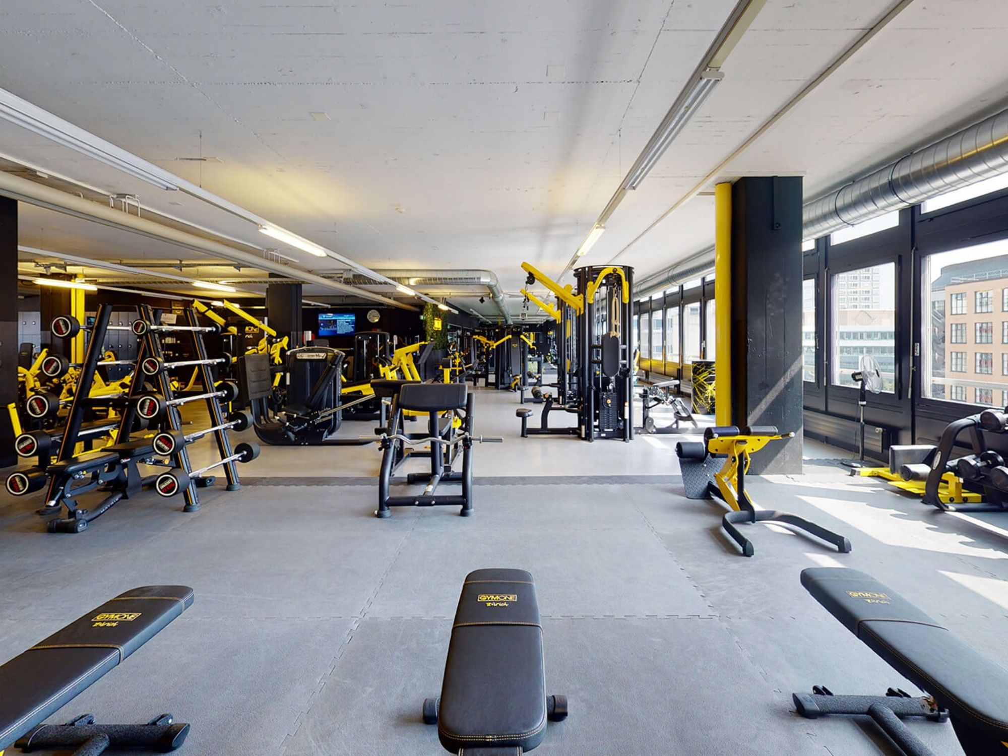 GYMONE - Standardowy