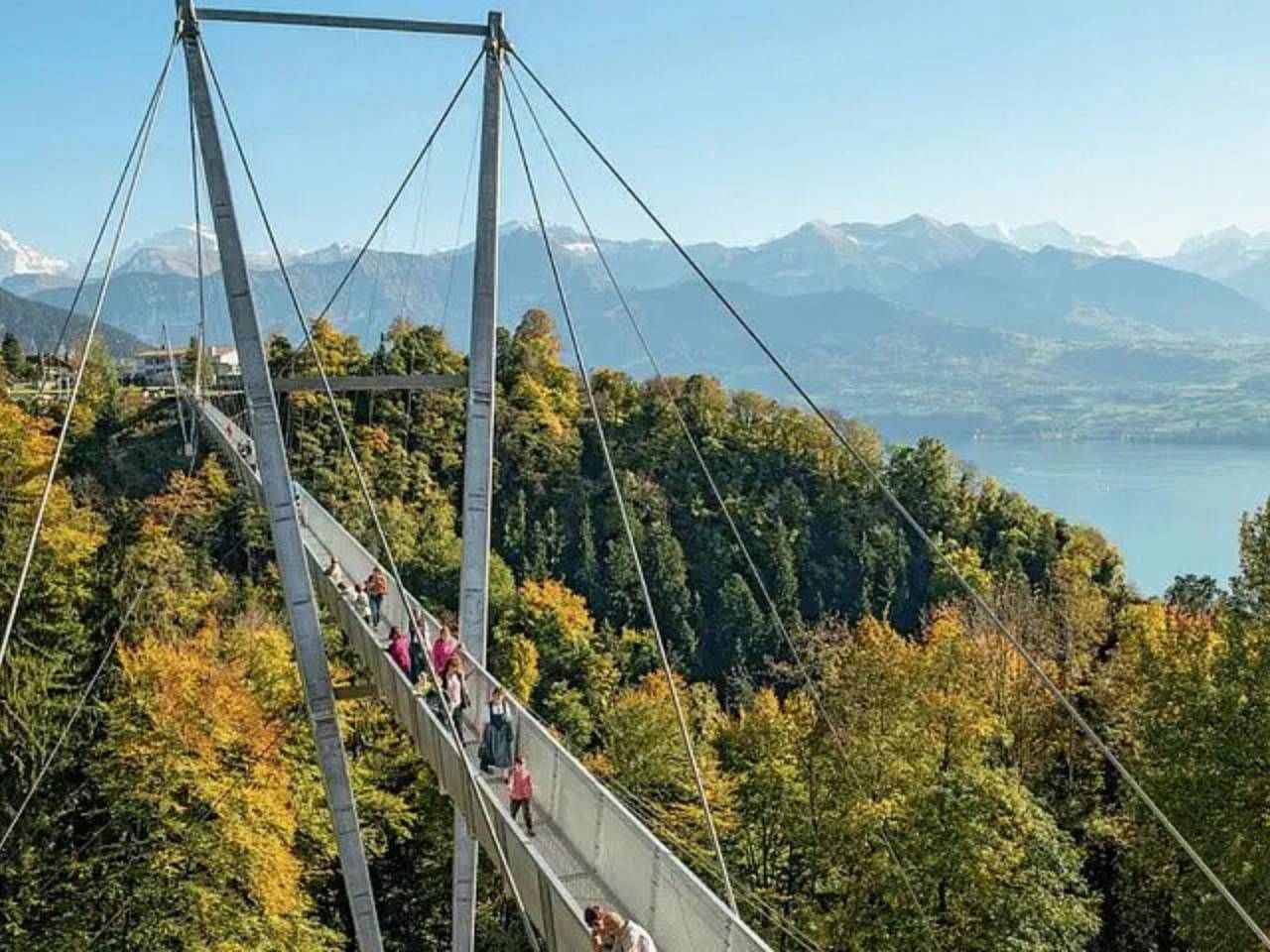 04 aterizare forțată tururi magice elvețiene (9)