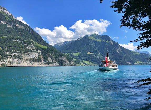 Ticket Luzern - Küssnacht am Rigi mit dem Schiff