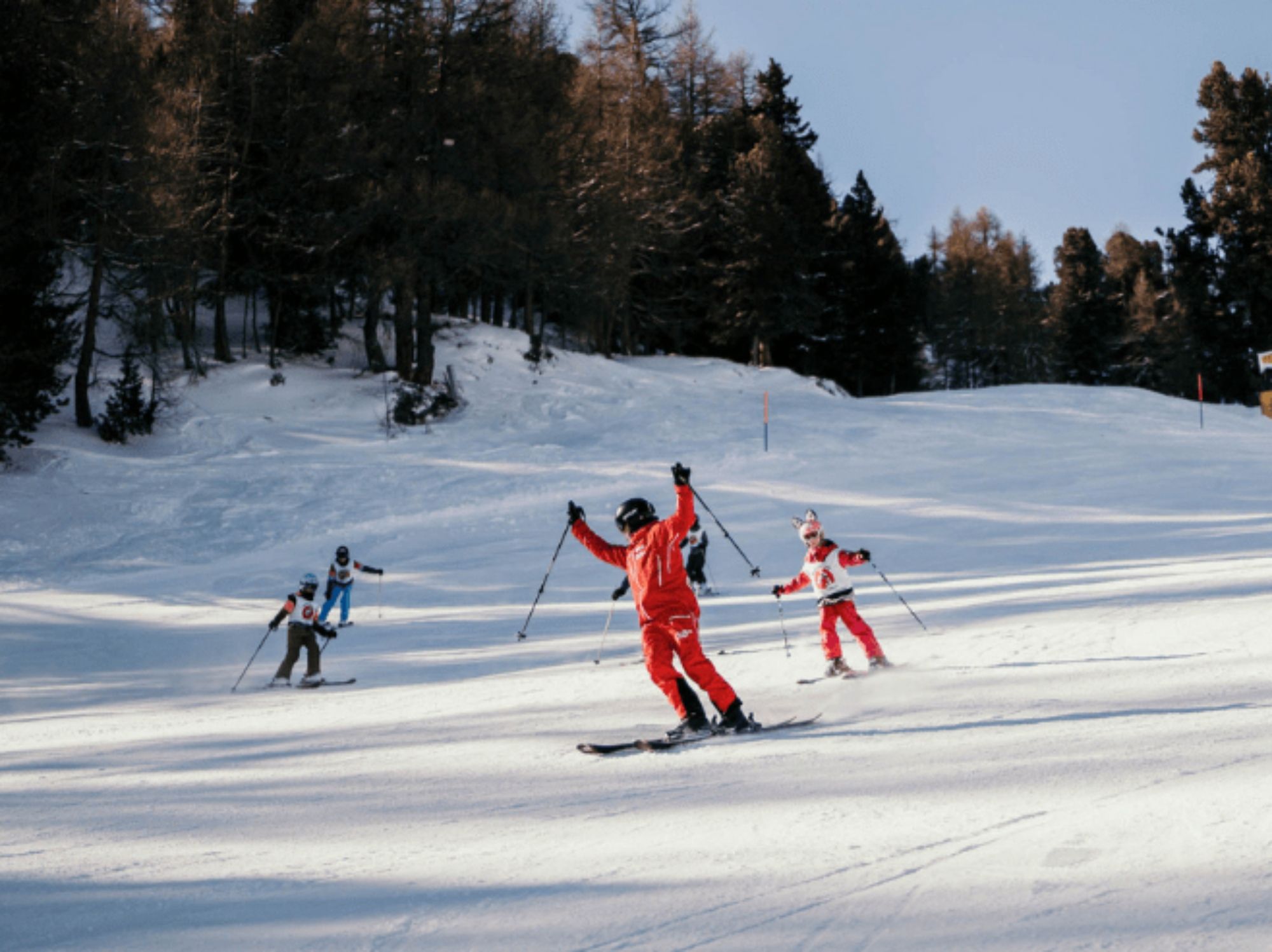 1e440f9d-084a-4b46-afef-870d7c8b8b4a