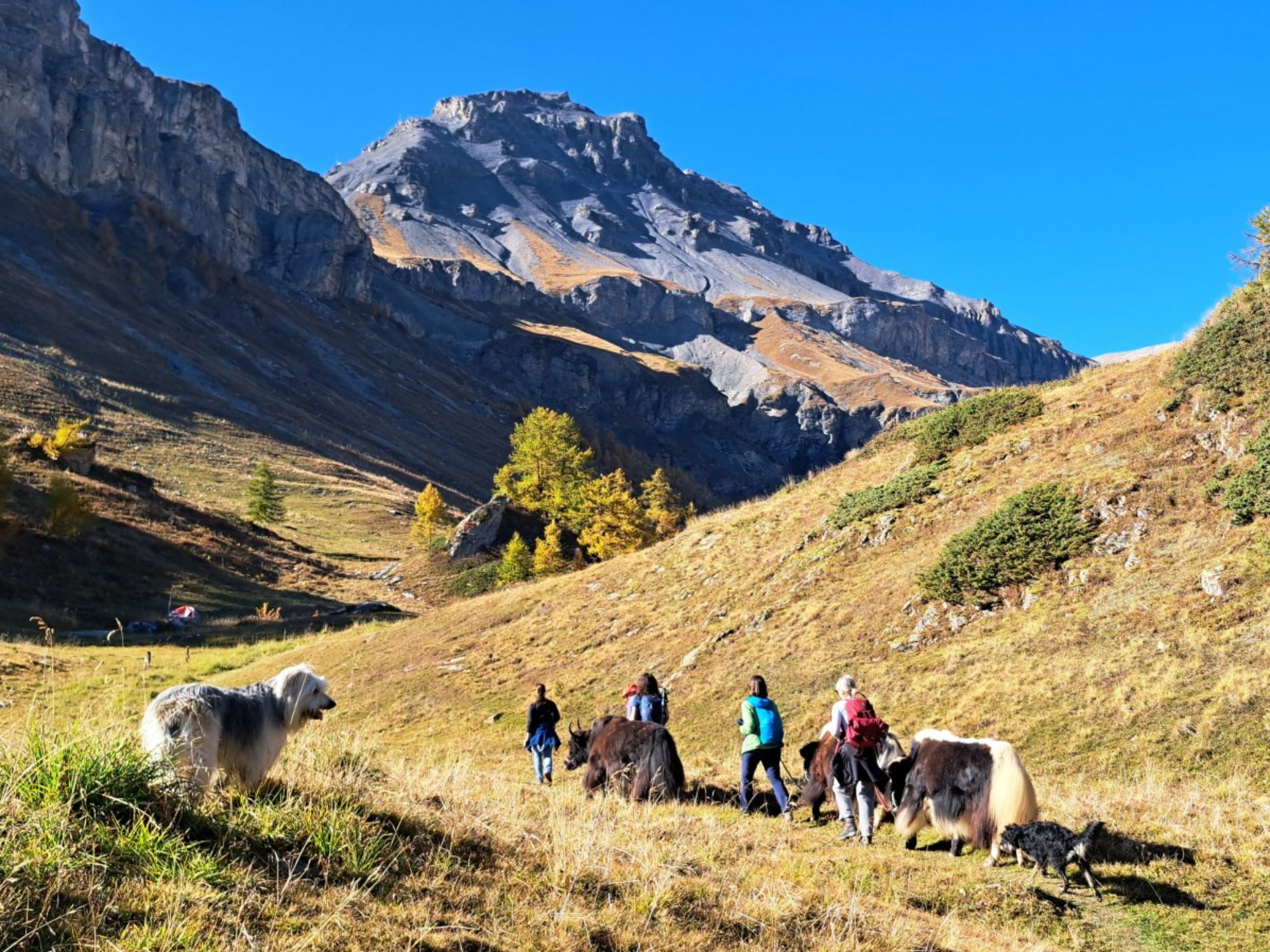 batch_20251018_150044