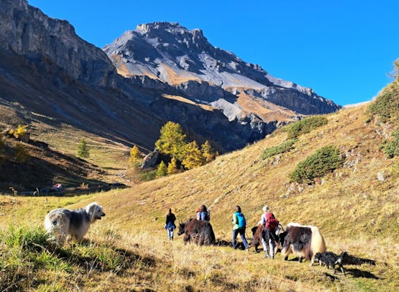 oikodomh_20251018_150044