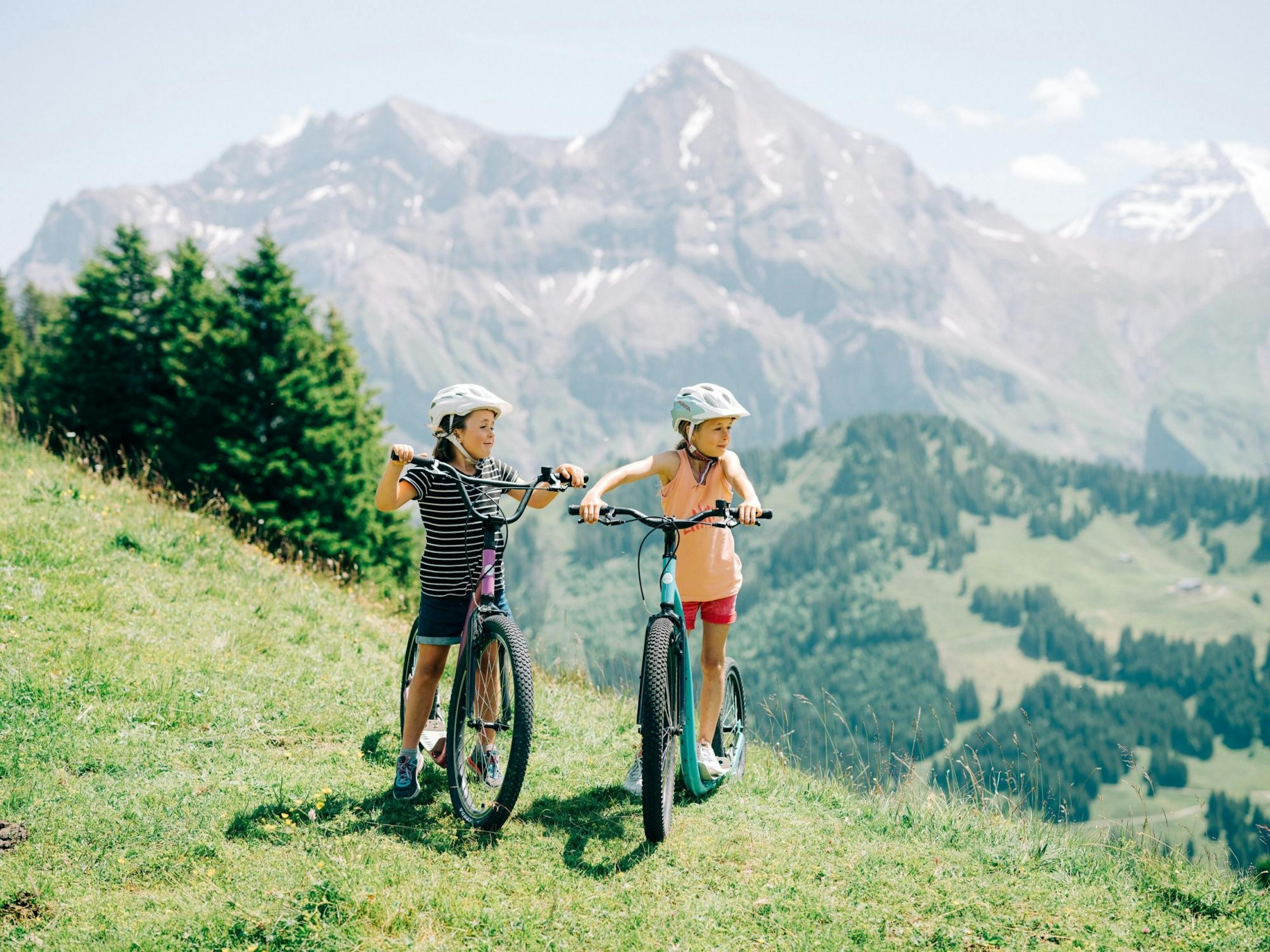 Ticket Trottiland Adelboden at VogellisiBerg