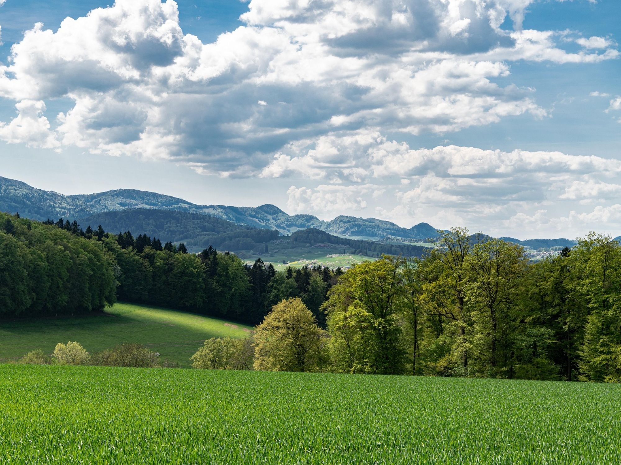 परिदृश्य-4645645_1920पिक्साबей