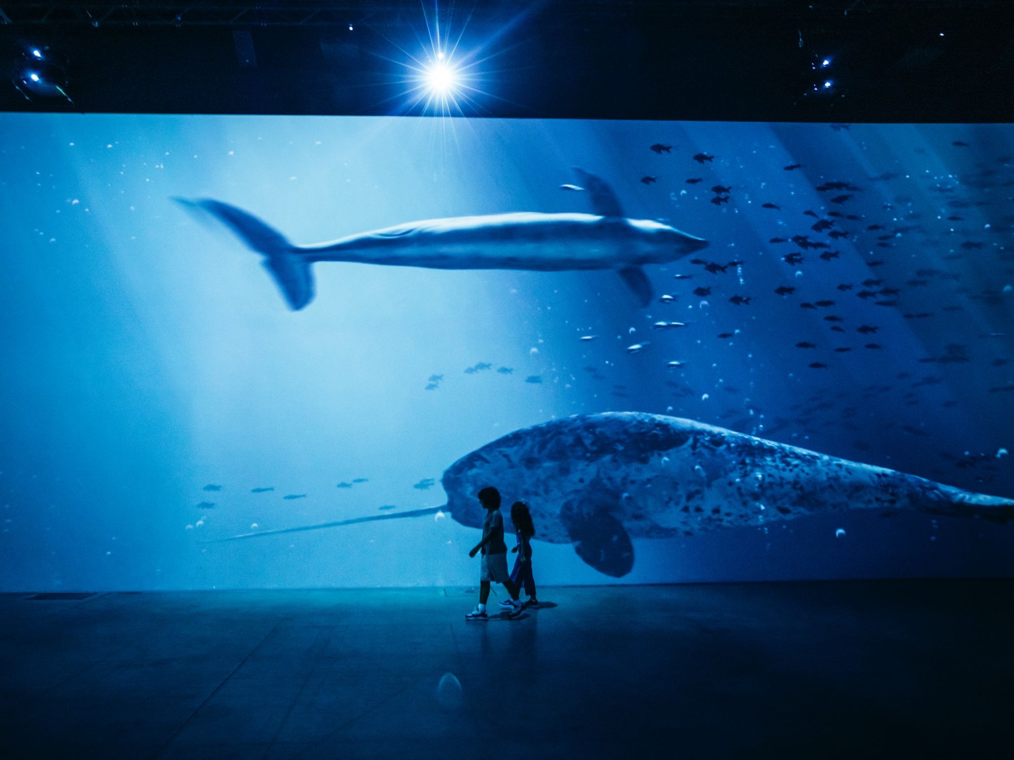 MAD_Titanic_2024_SetVexy_SVD_9554