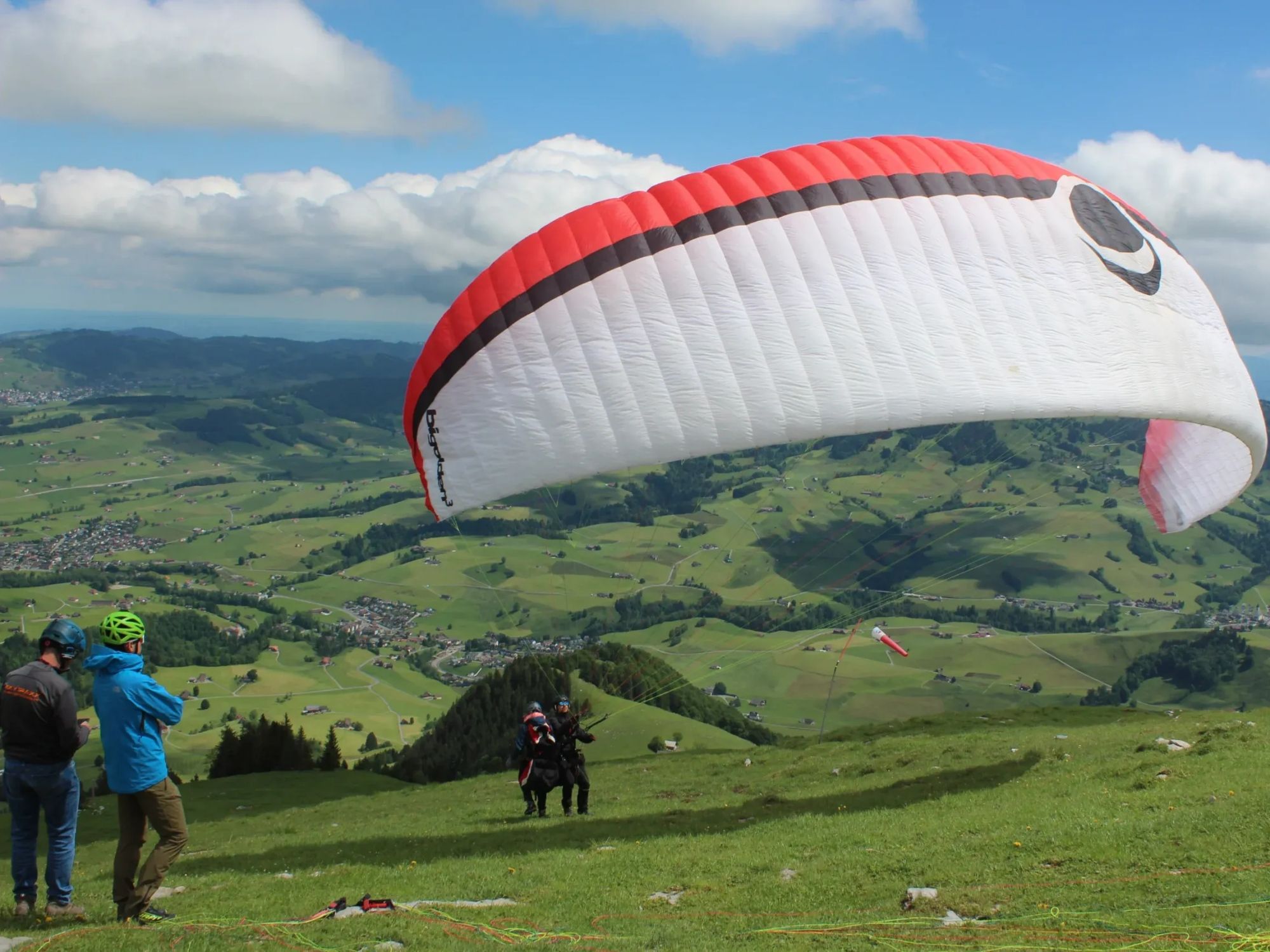 IMG_4520-escala cópia