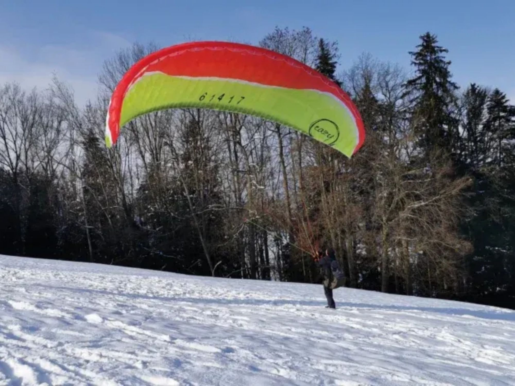 IMG_20210213_104403-1024x472 cópia