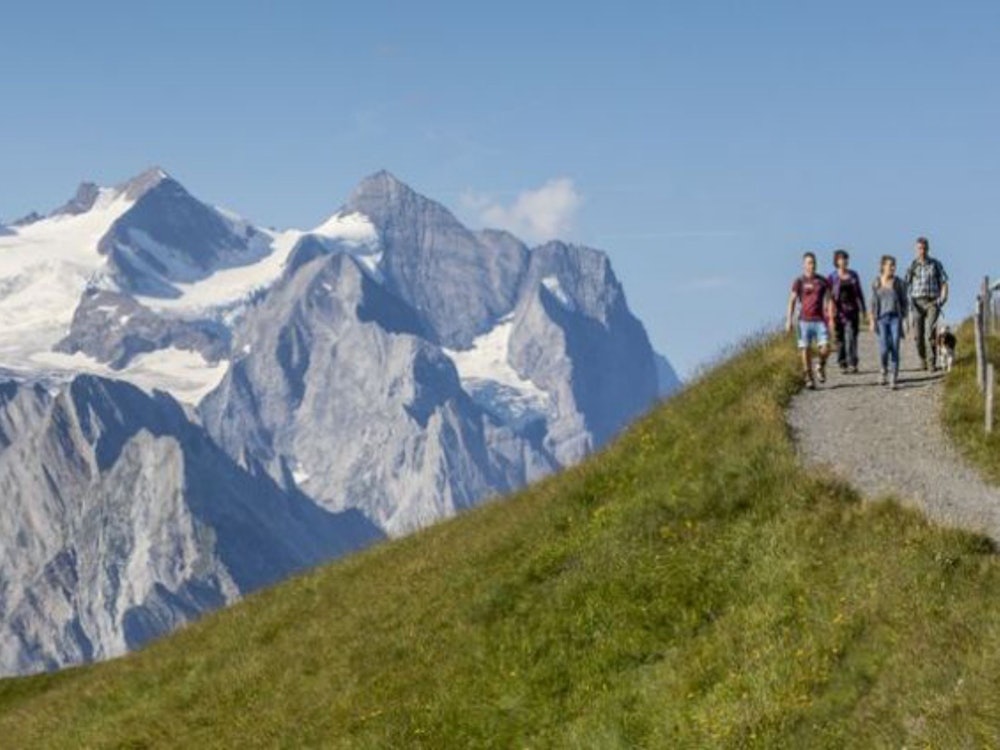 Vue sur la tour Wetterhorn