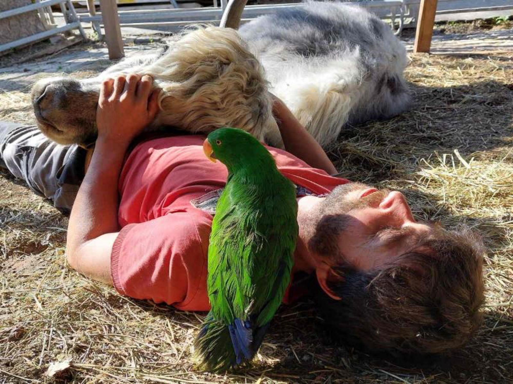 tds00020015424100589_stoerrelse-800-0