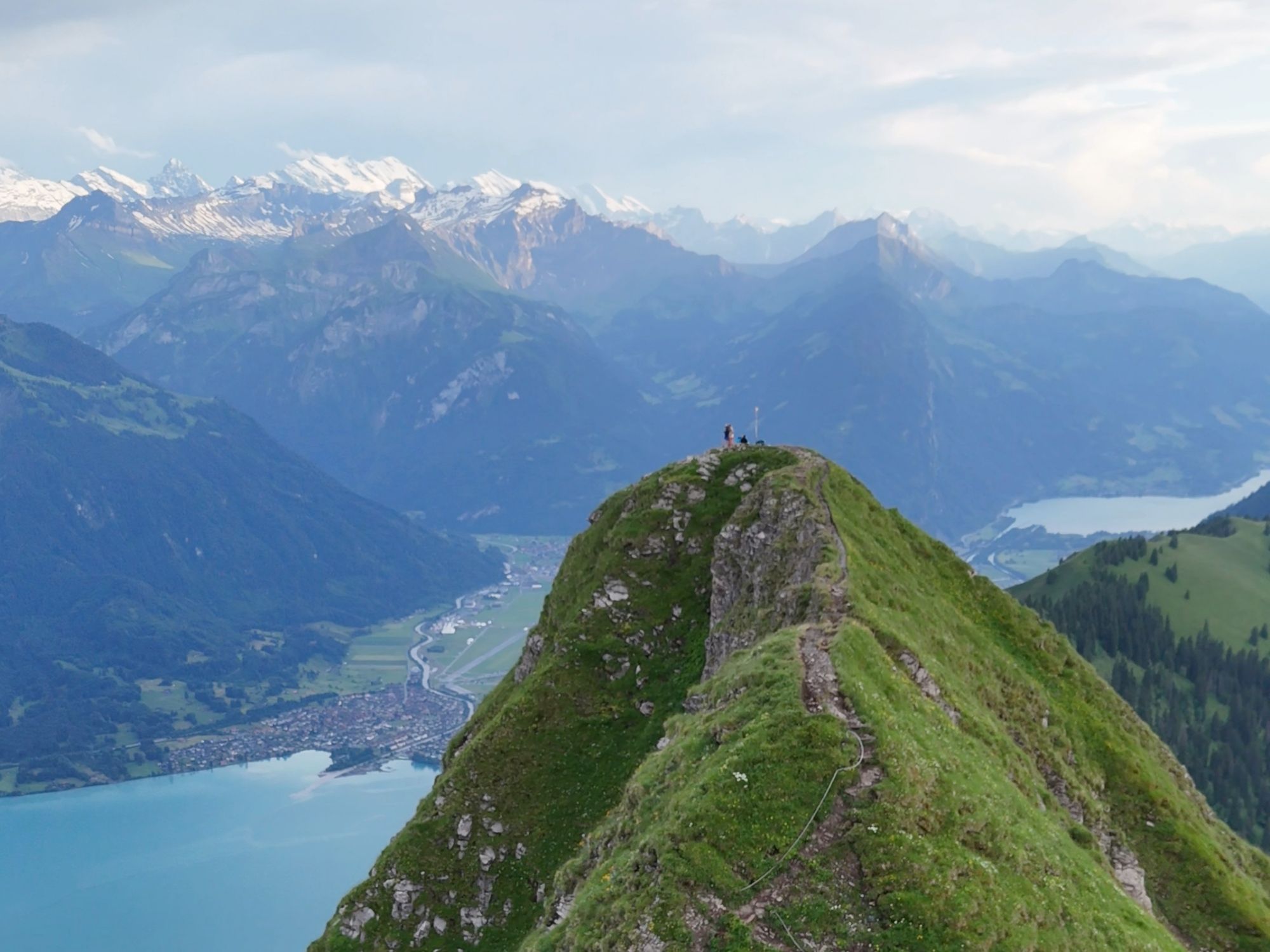 IMG_4404_screenshot_1