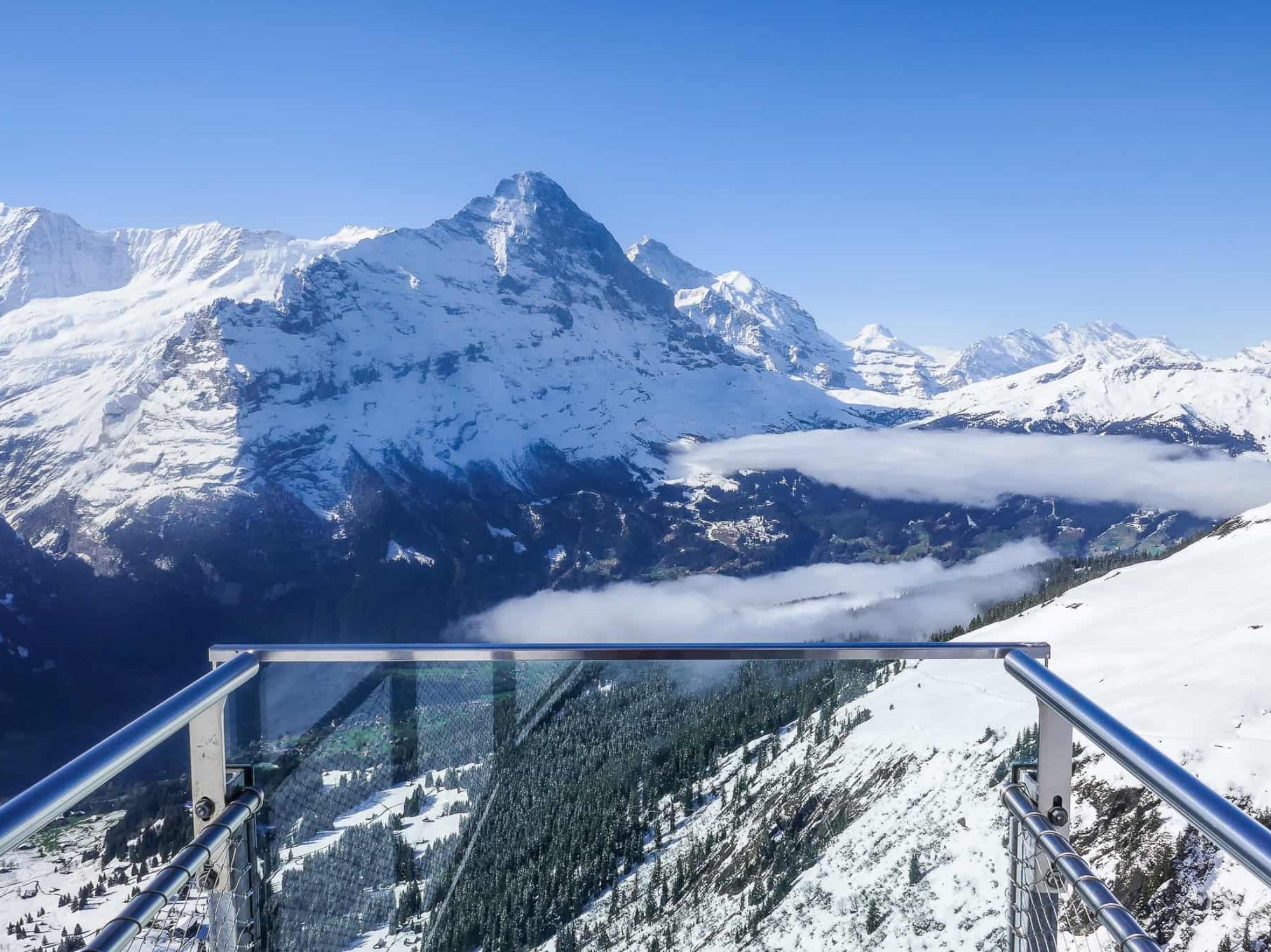 grindelwaldeiger-front