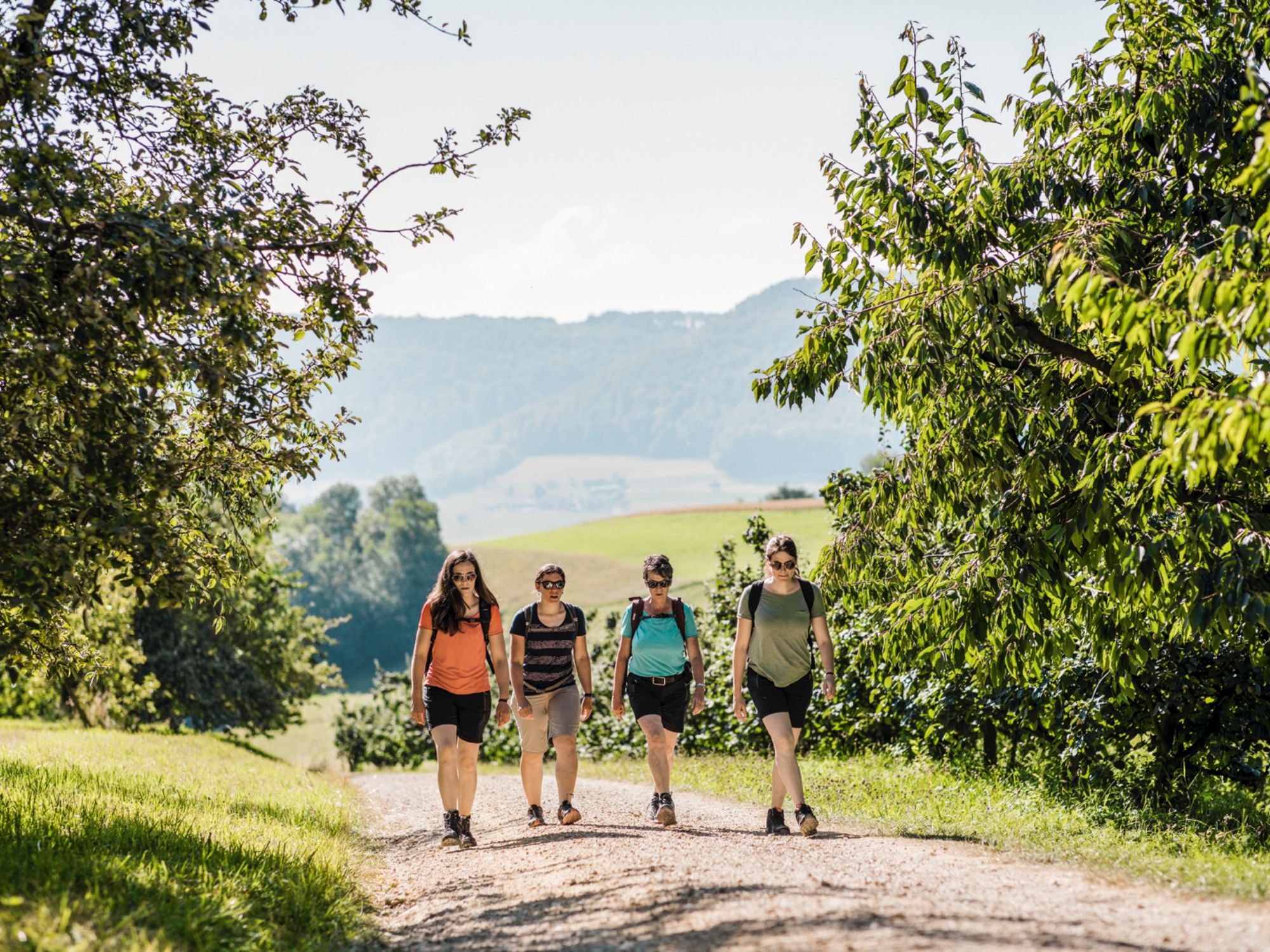 Fricktaler Höhenweg