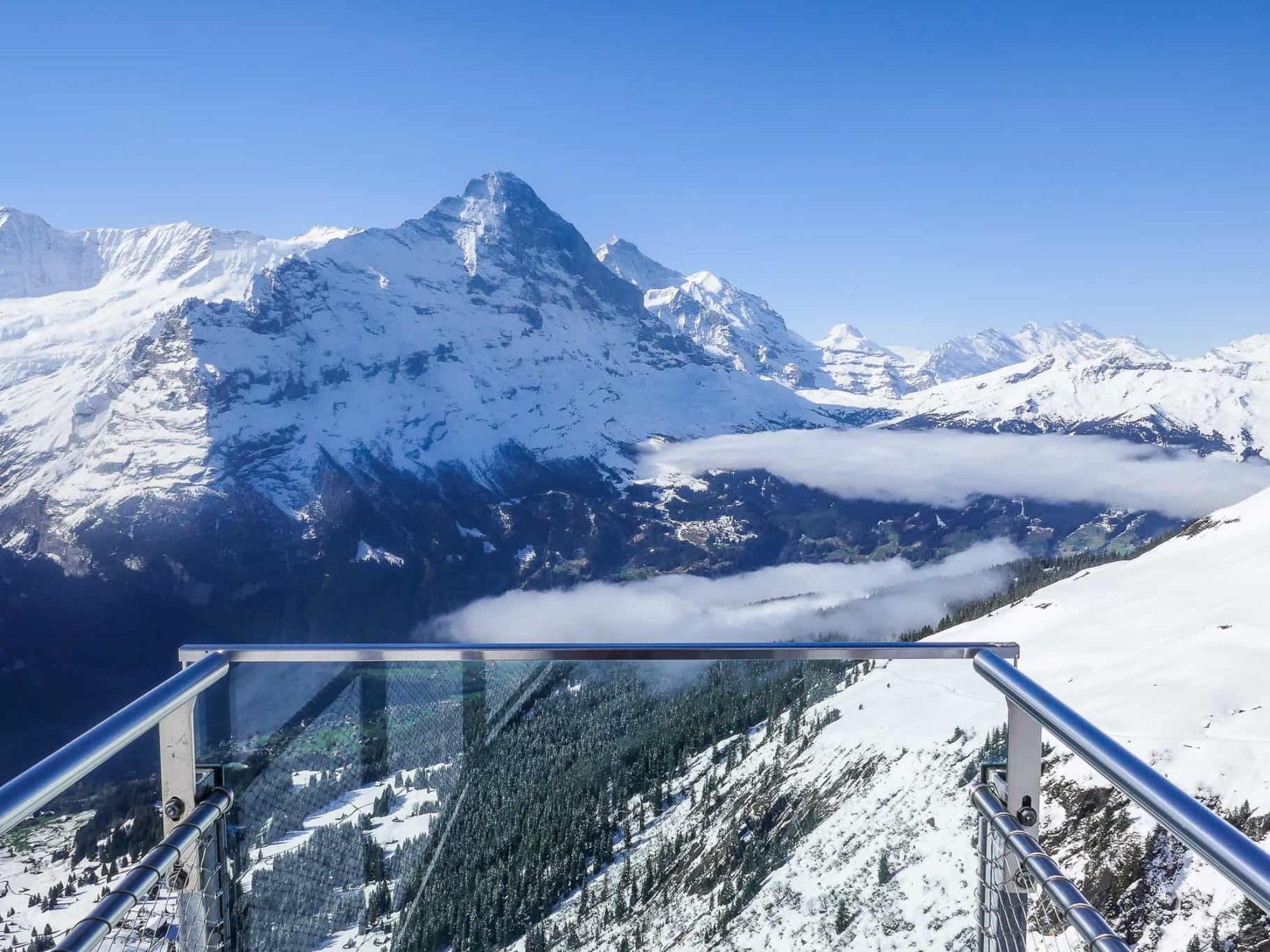 grindelwaldeiger-frente