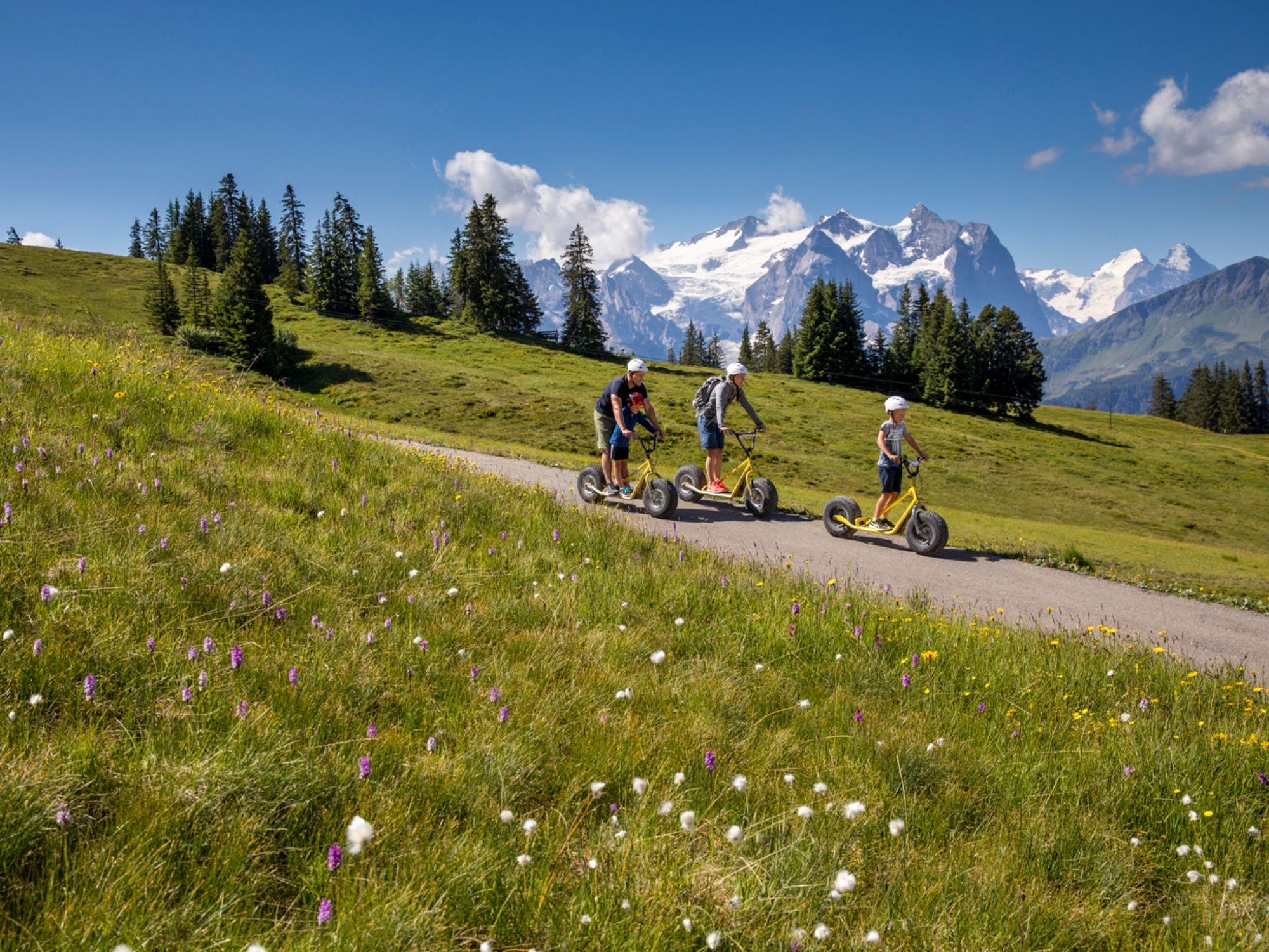 Monster-Trucks_2_by_davidbirri_web