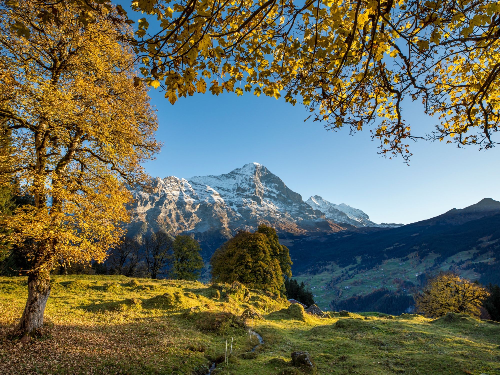 Eiger di latar belakang
