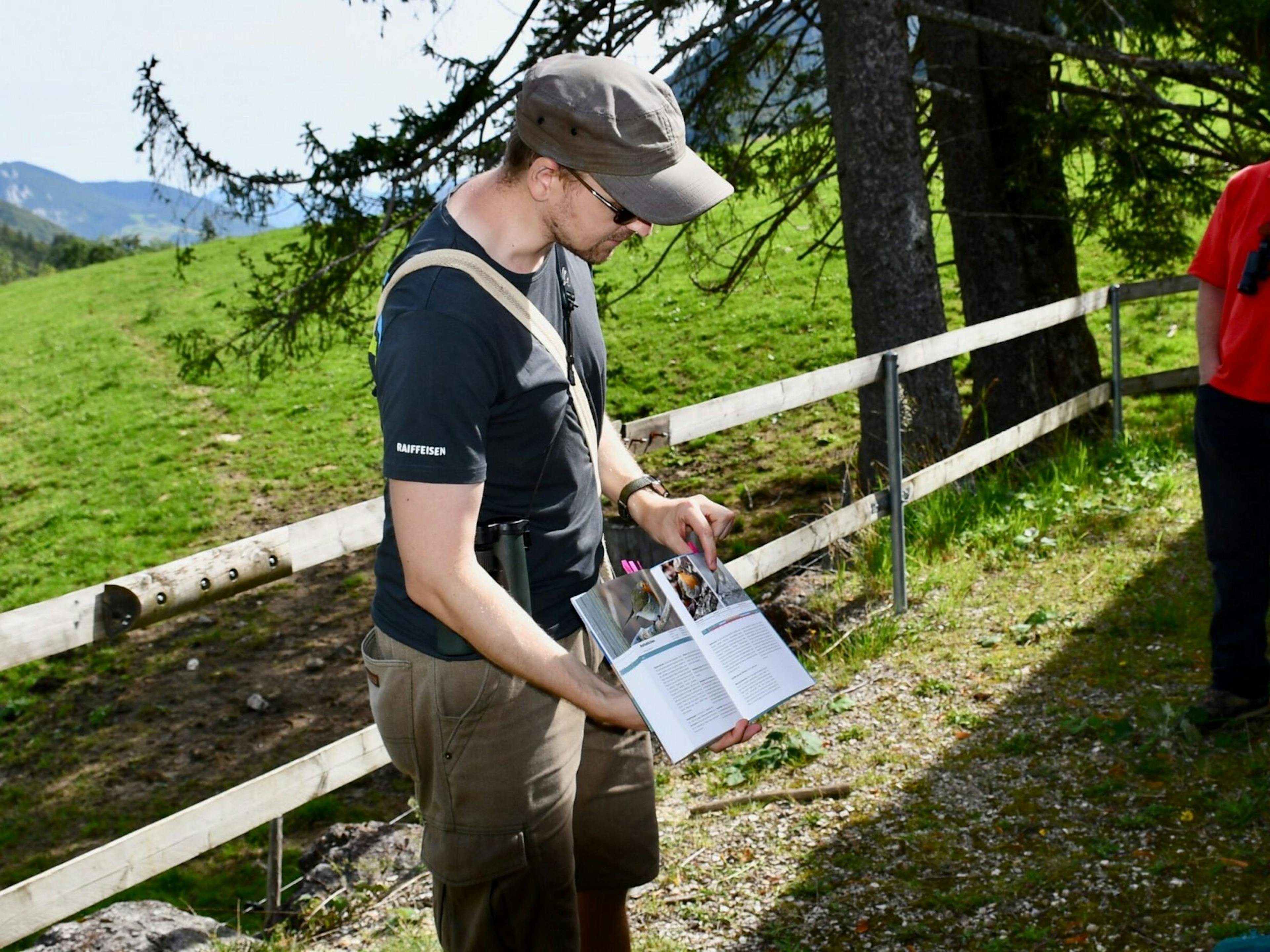 Natursafari Steinbock am Niederhorn