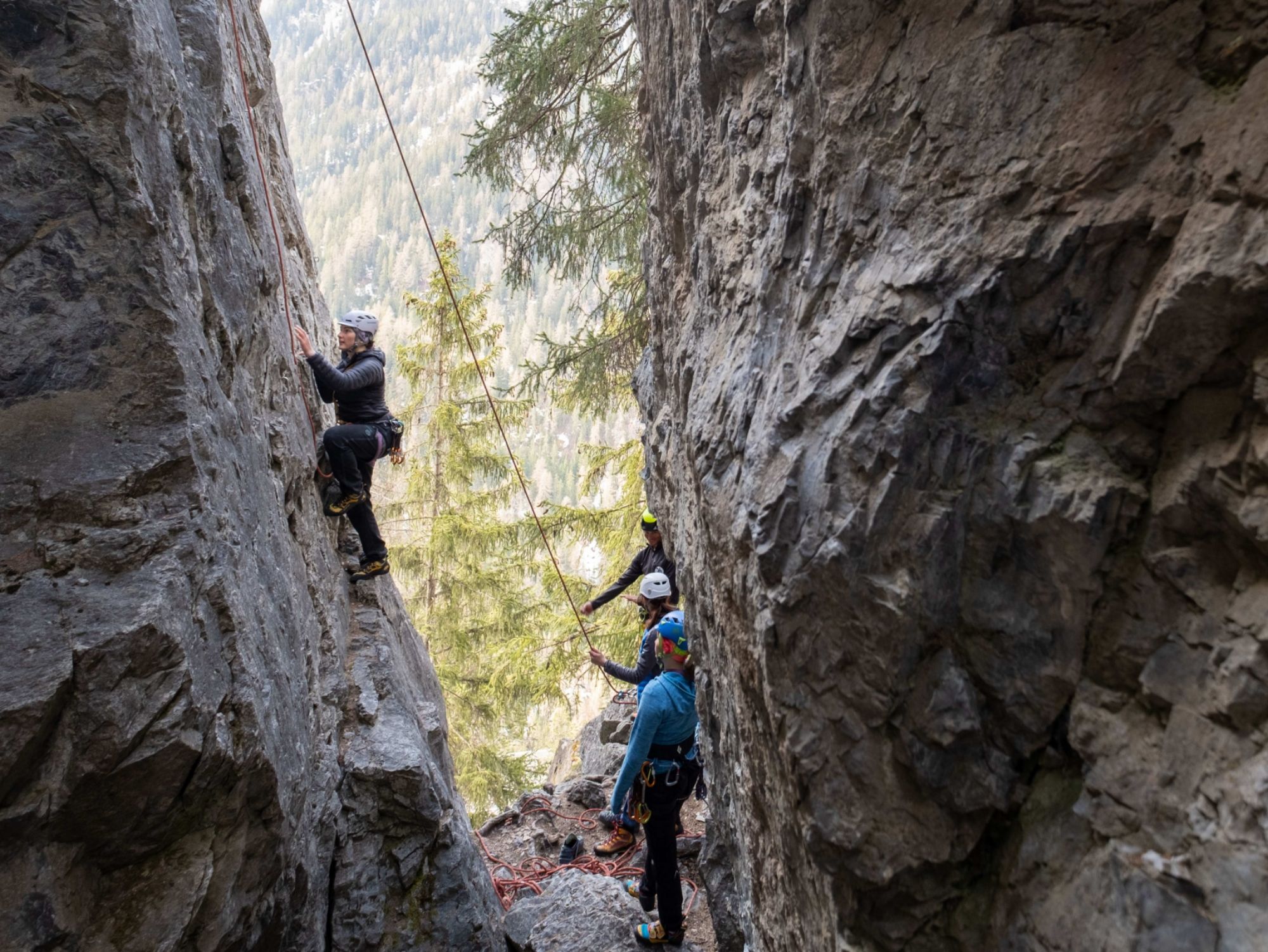 eba343ee9ba5e15f58948c52ebebe12c