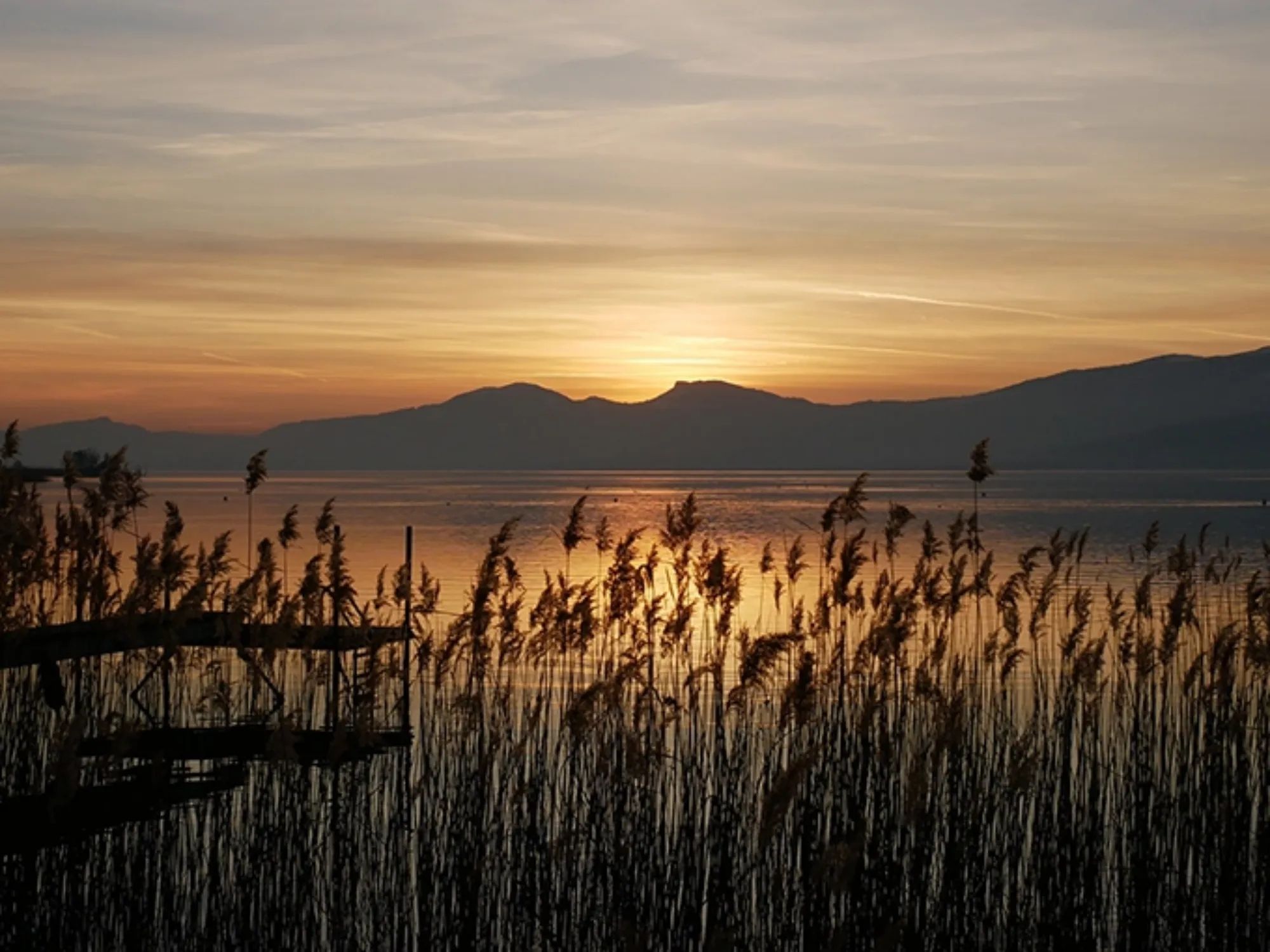 ms-attila-du-thuyen-song-20