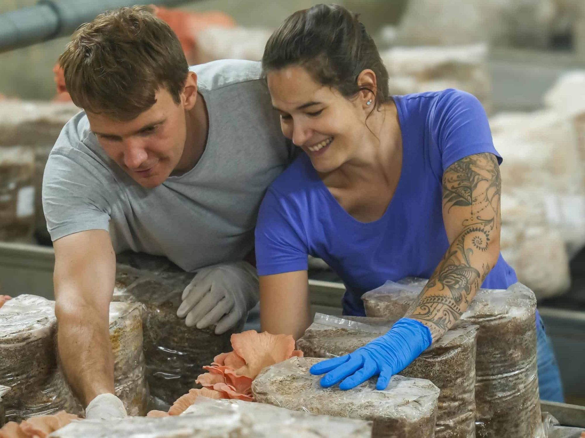 carsten-et-silvi-entoures-de-pleurotes-roses-dans-la-chambre-de-tri