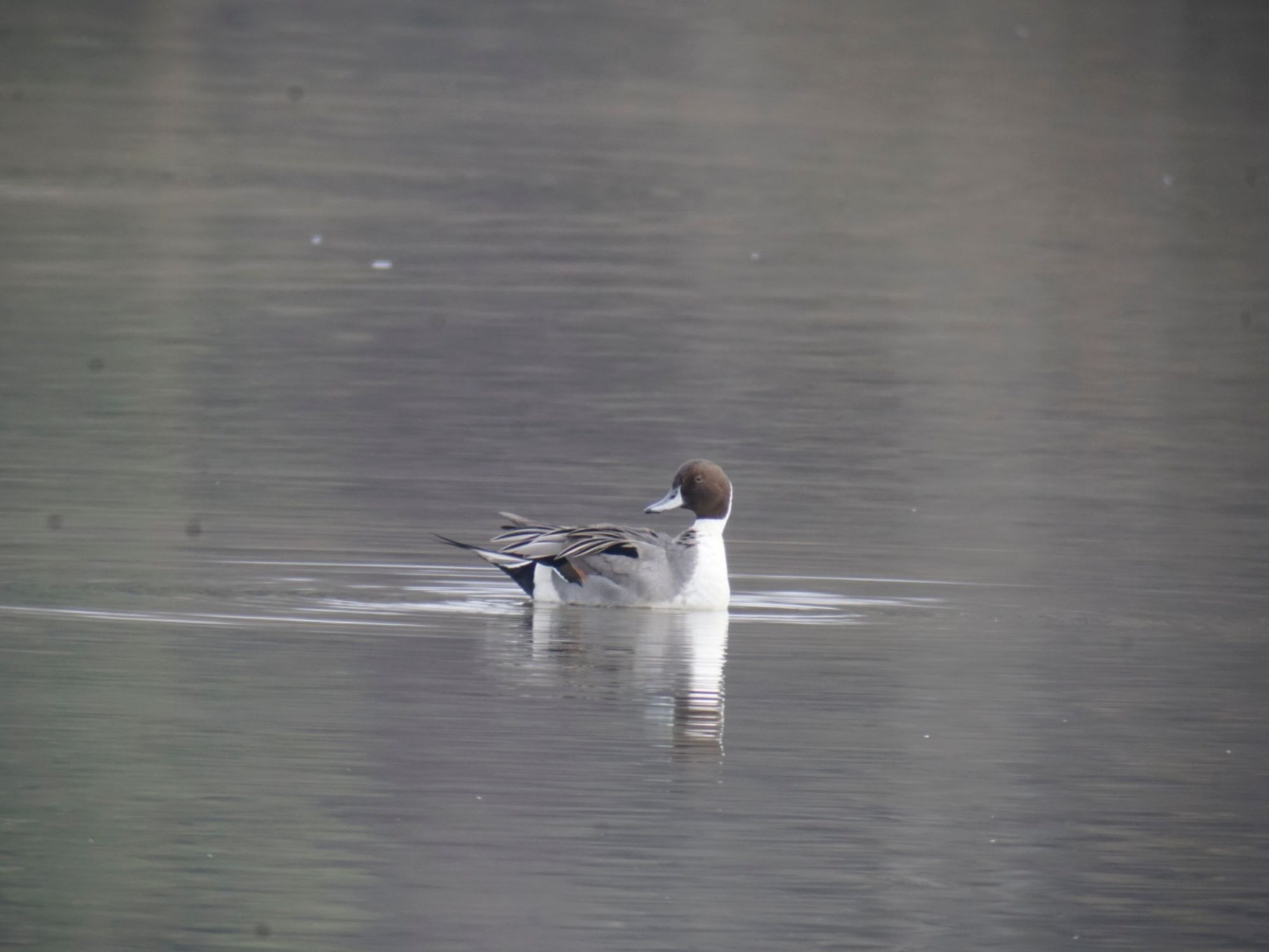 图片_20220123_114309