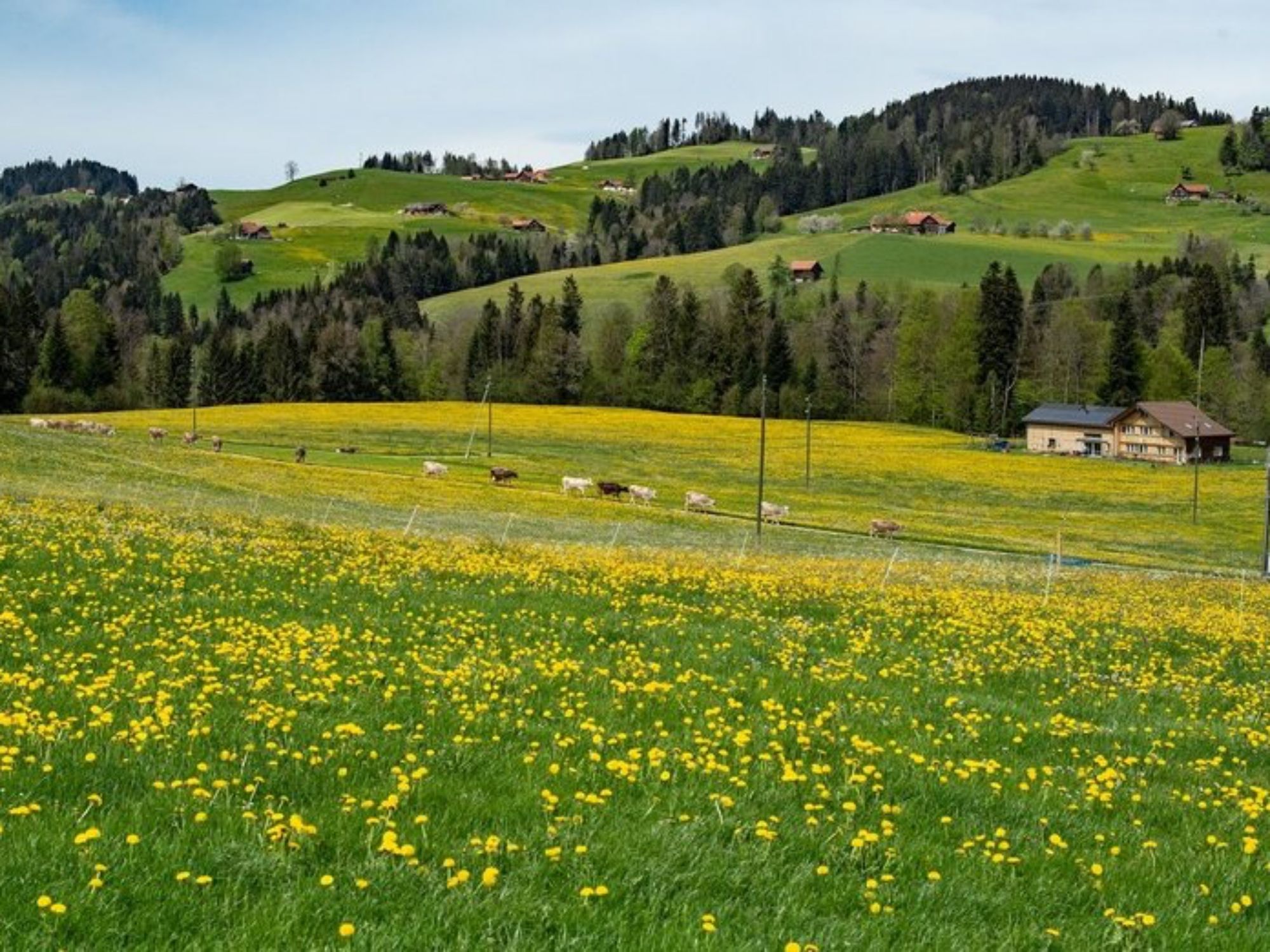 Appenzell