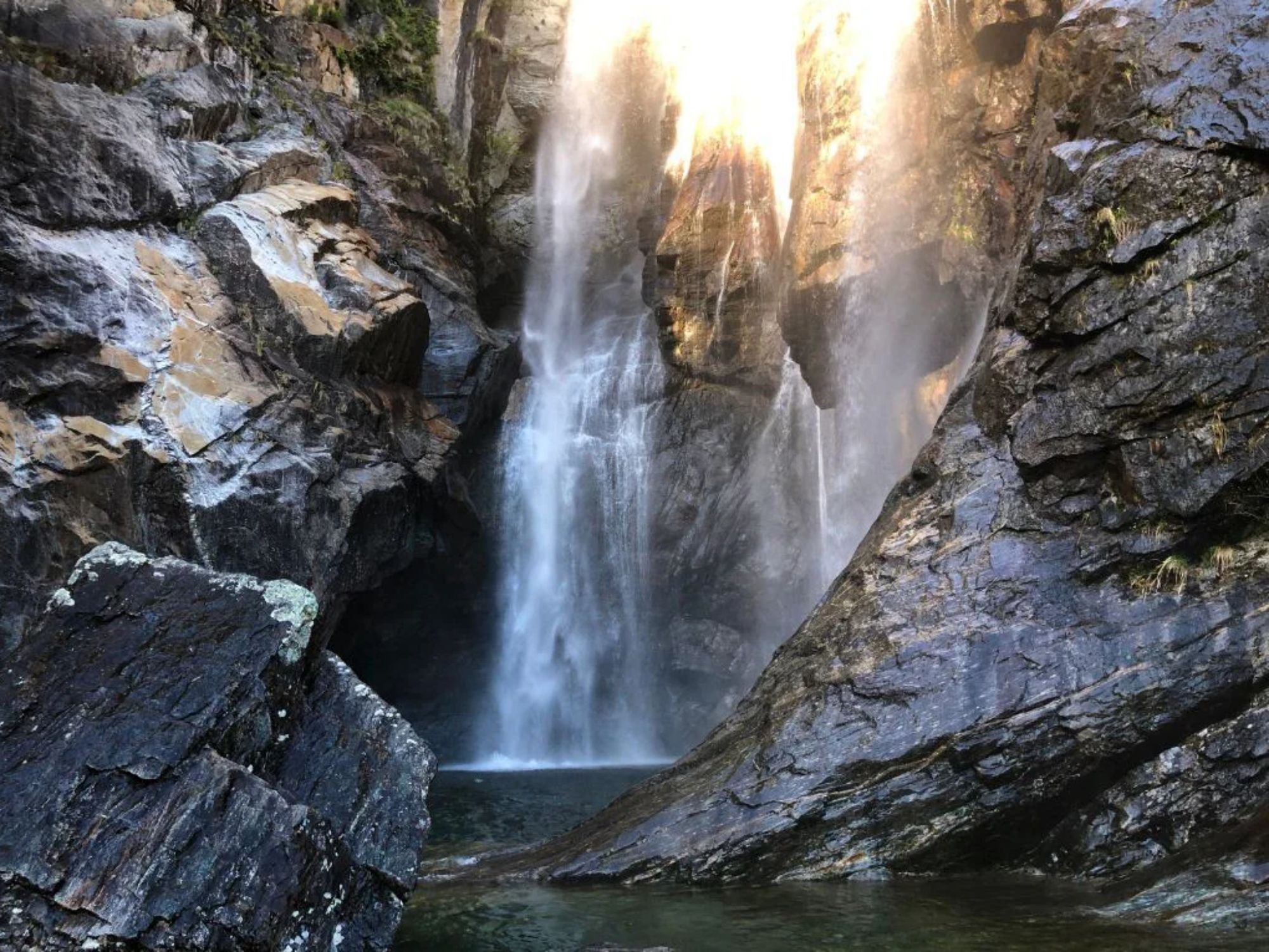 batch_maggia4 копия