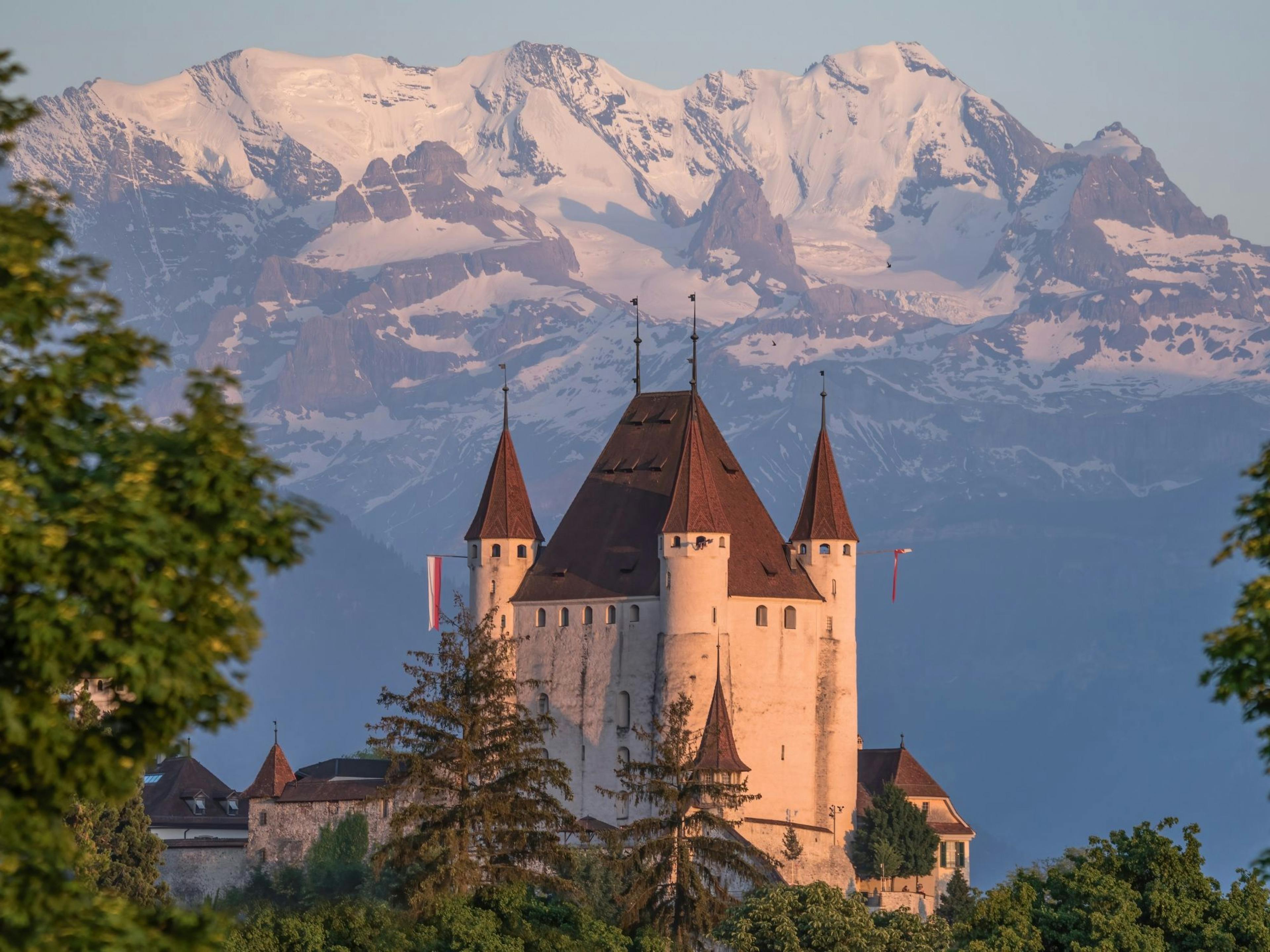 "Cavaleiro a Cavalo e Ainda em Falência" Visita Guiada ao Castelo de Thun para Grupos