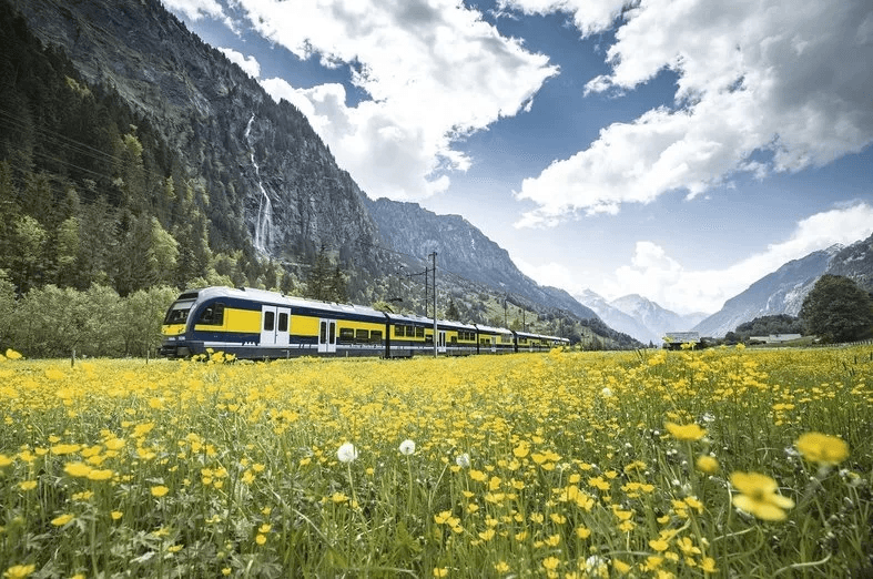 csm_tren-panoramic-grindelwald-berner-oberlandbahn_1b190b43cb