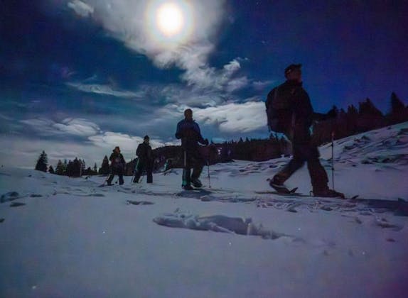 Vollmond Gruppe