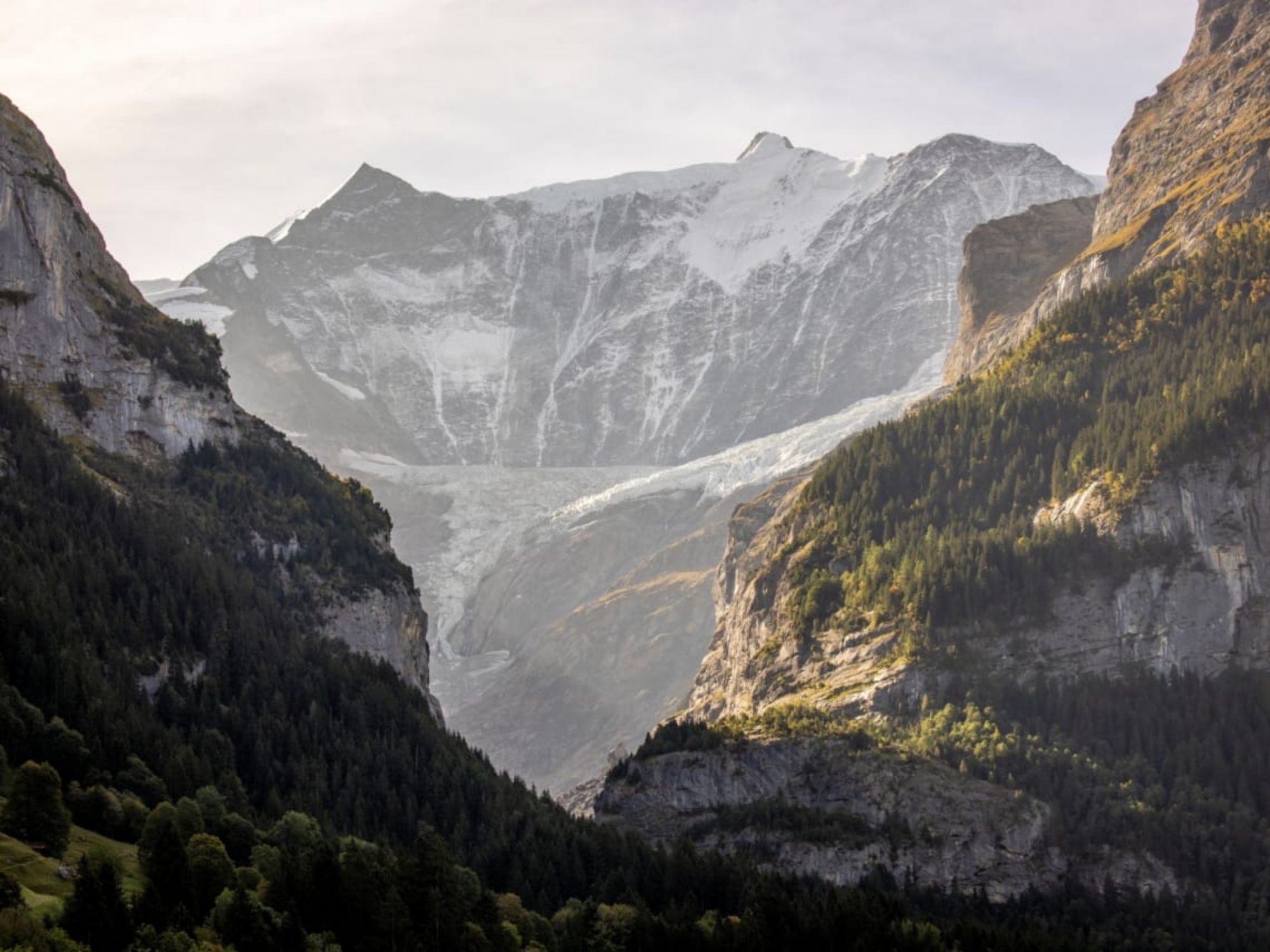 Alsó Grindelwald-gleccser kilátás