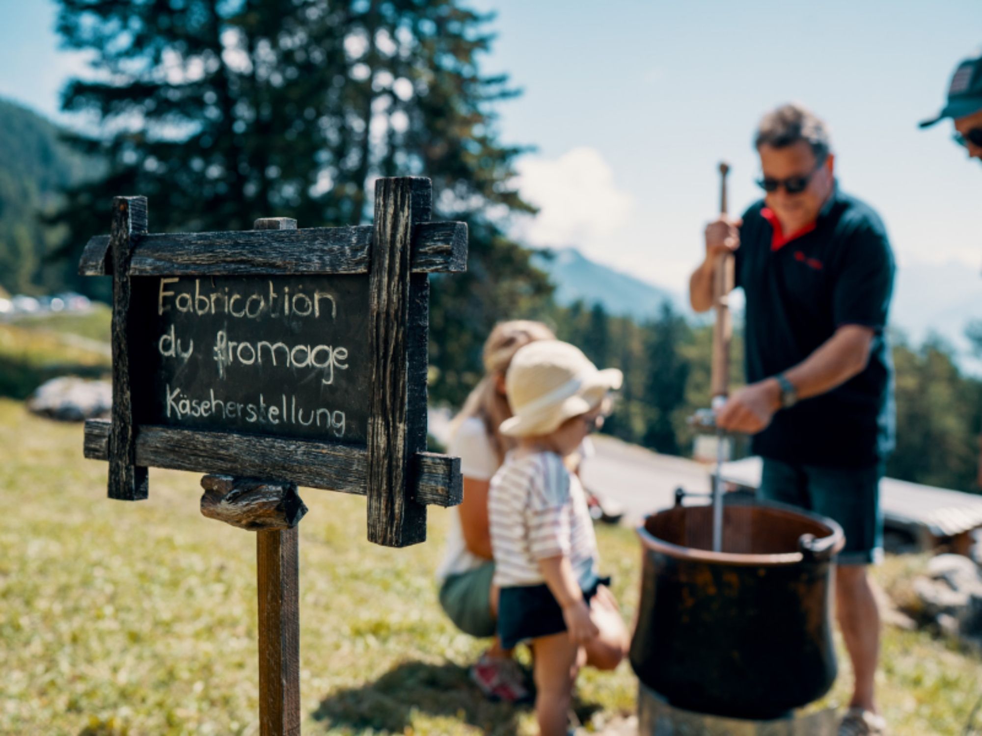 Curso de Fabrico de Queijo